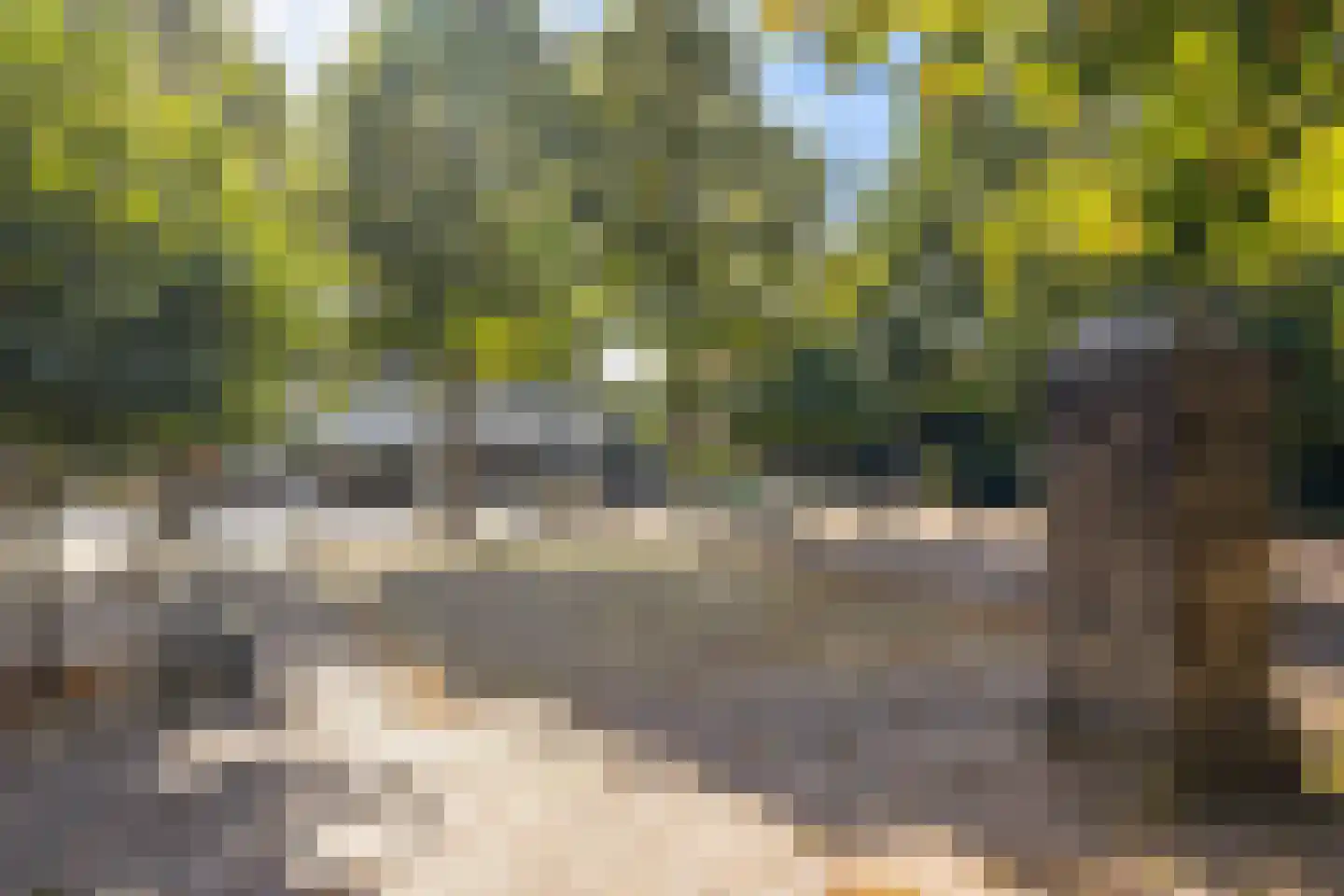 Oude Postweg 176 Austerlitz thumbnail 49