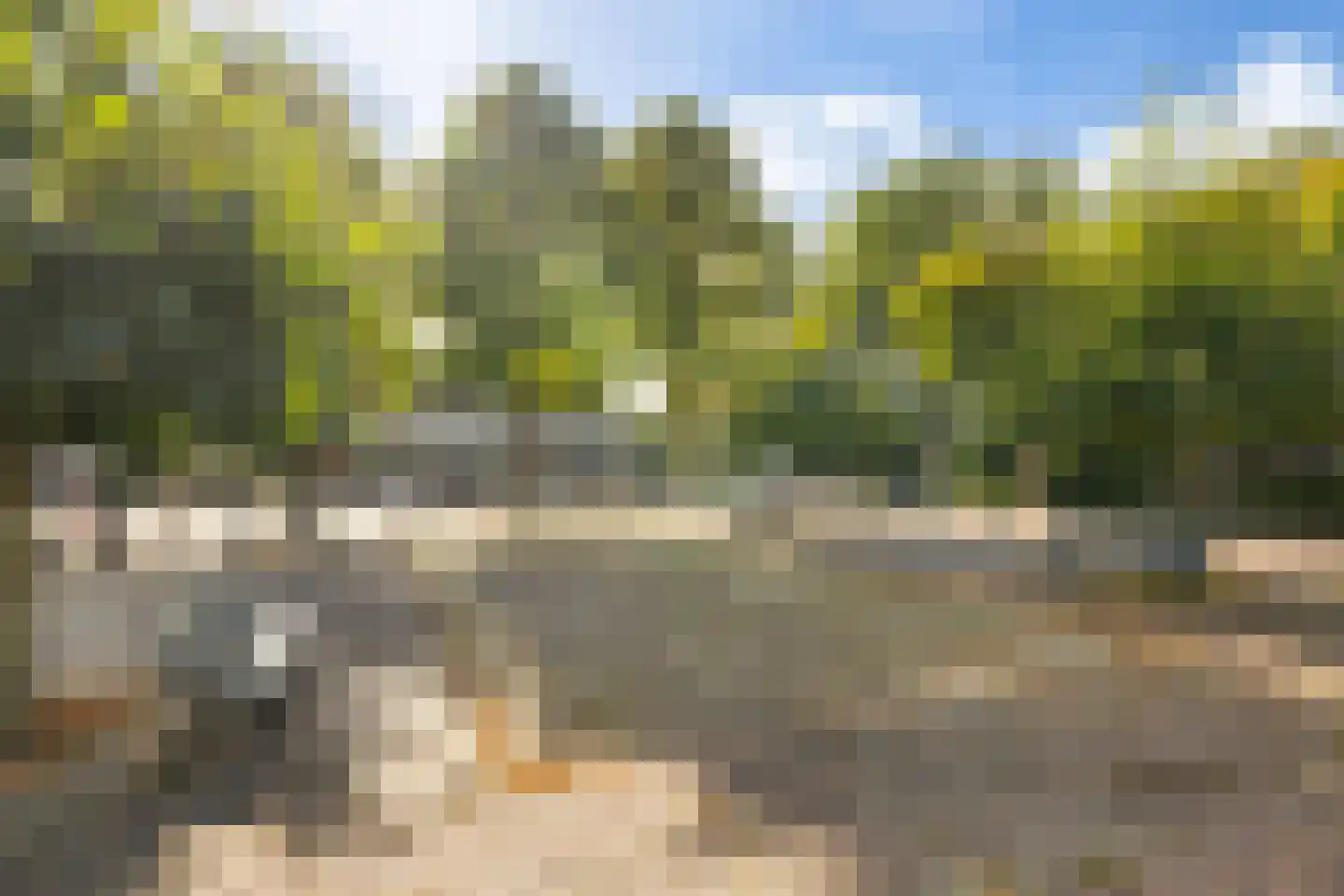 Oude Postweg 176 Austerlitz thumbnail 51