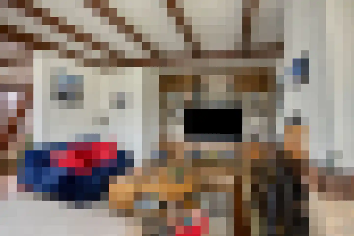 Oude Postweg 26 Rottum thumbnail 12