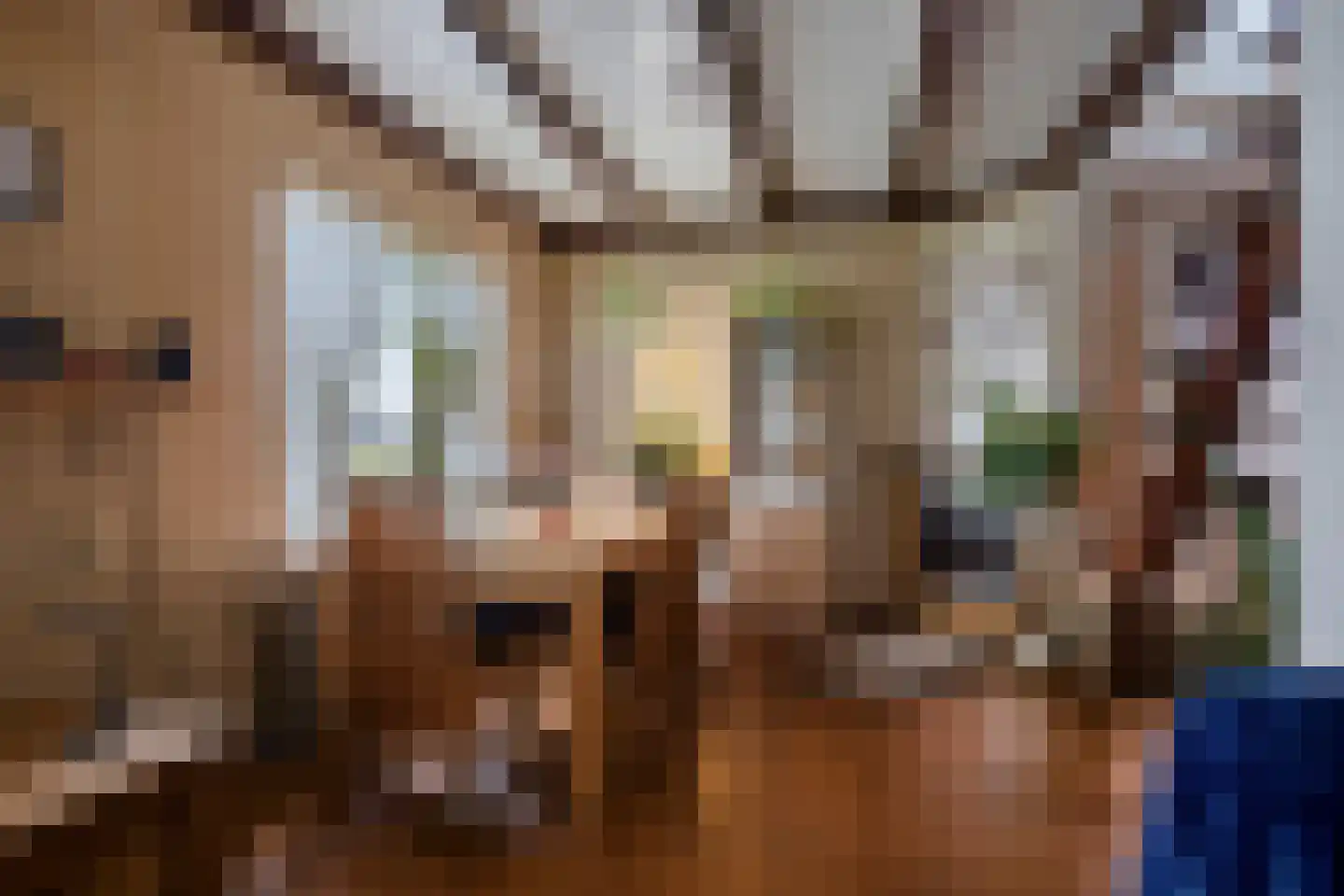Oude Postweg 26 Rottum thumbnail 13