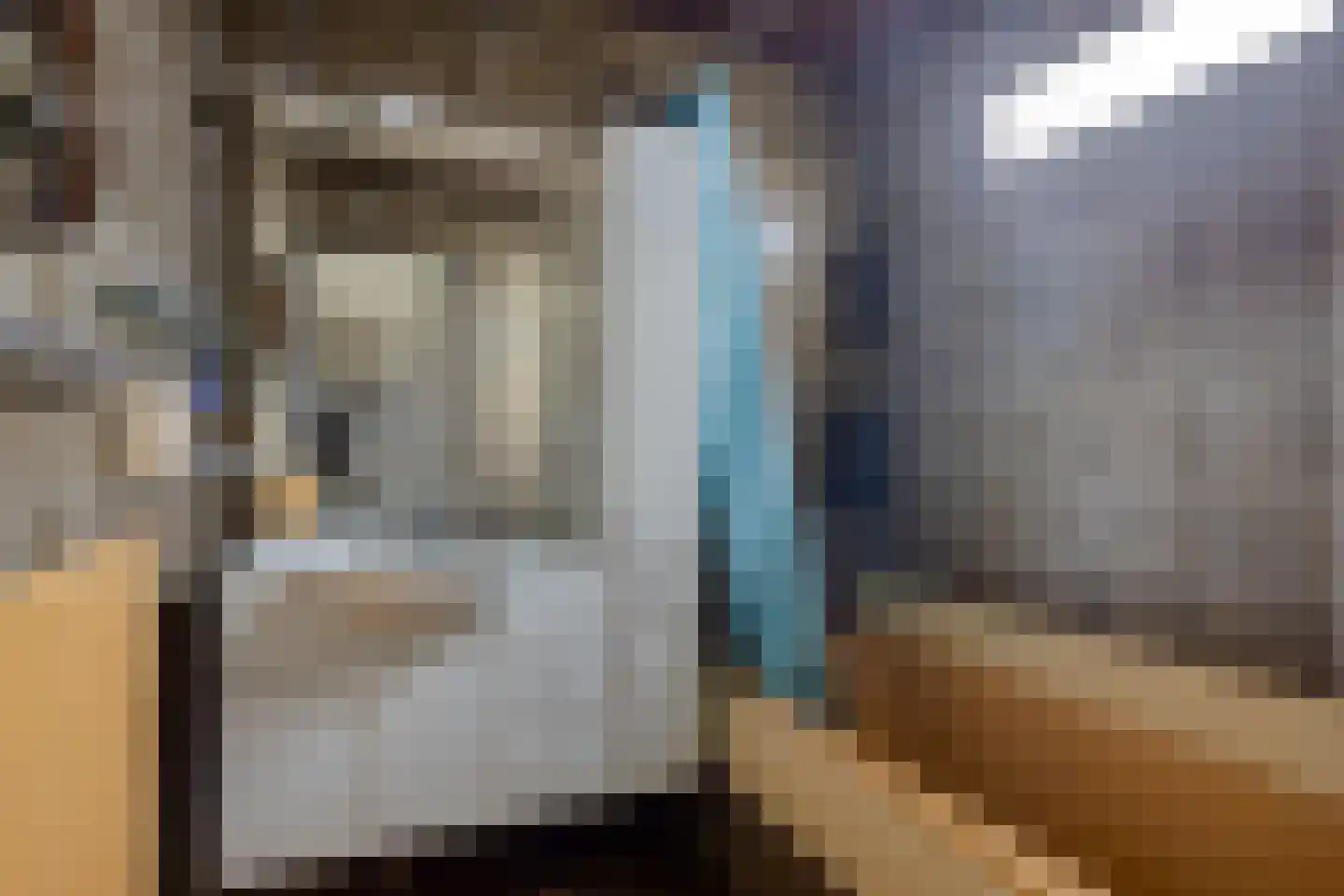 Oude Postweg 26 Rottum thumbnail 22