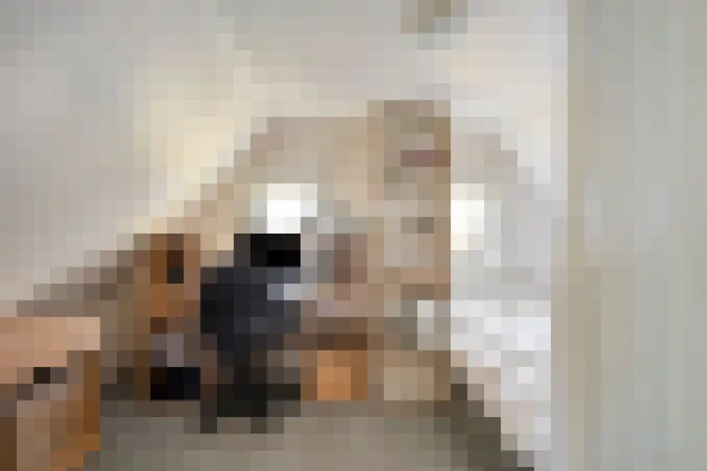 Oude Postweg 26 Rottum thumbnail 25