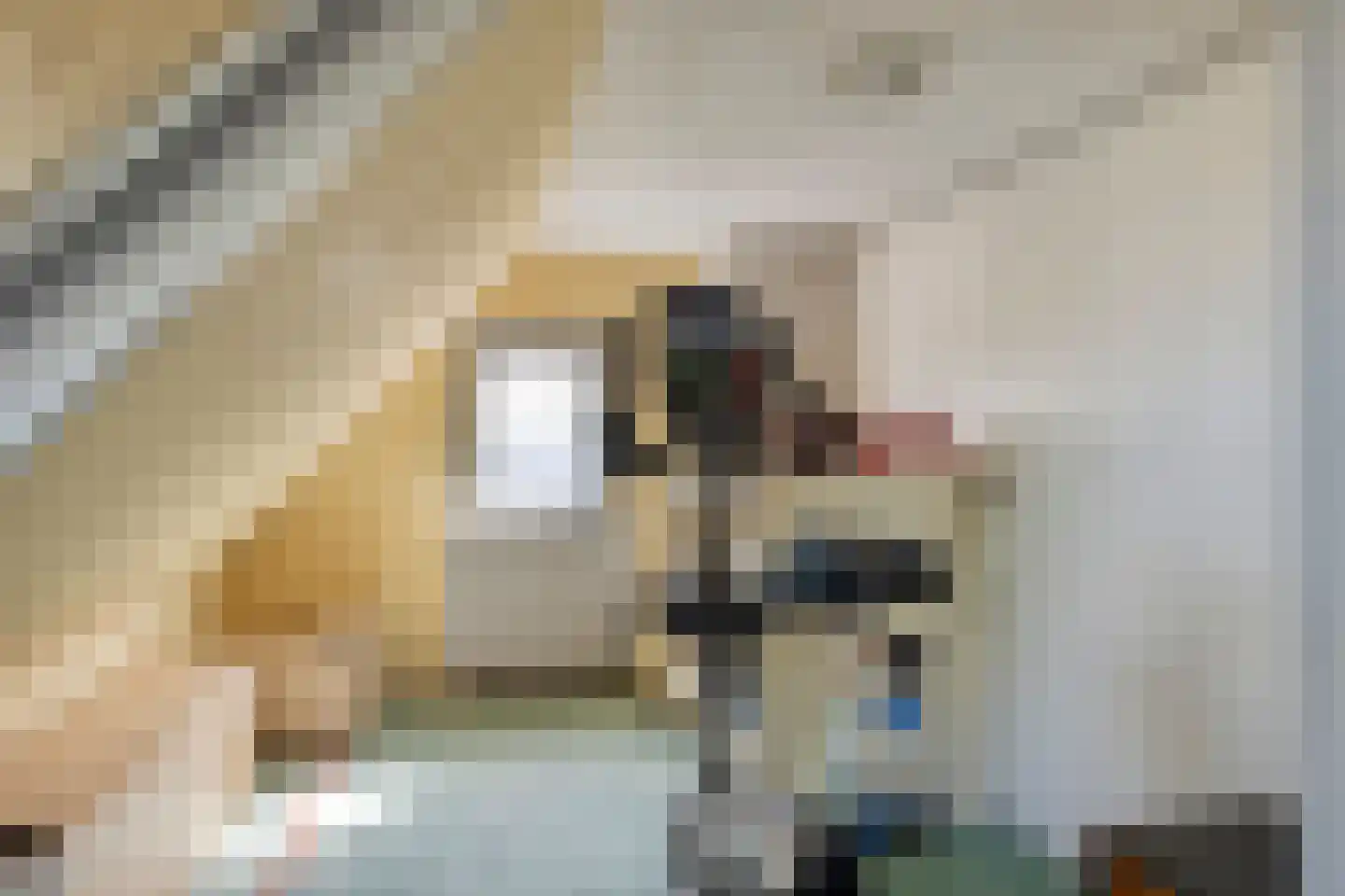 Oude Postweg 26 Rottum thumbnail 26