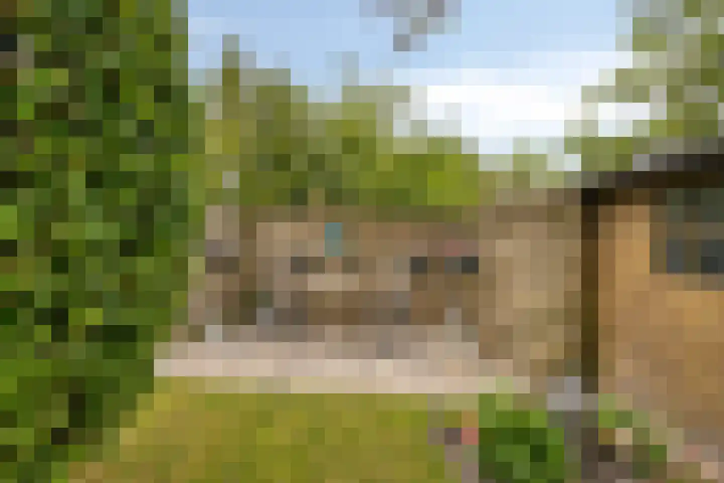 Oude Postweg 26 Rottum thumbnail 28