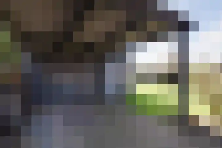 Oude Postweg 3 Spier thumbnail 34