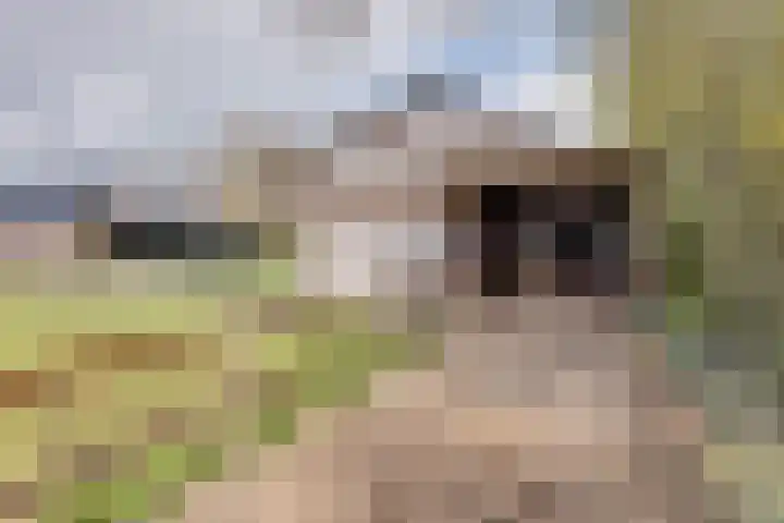 Oude Postweg 3 Spier thumbnail 38