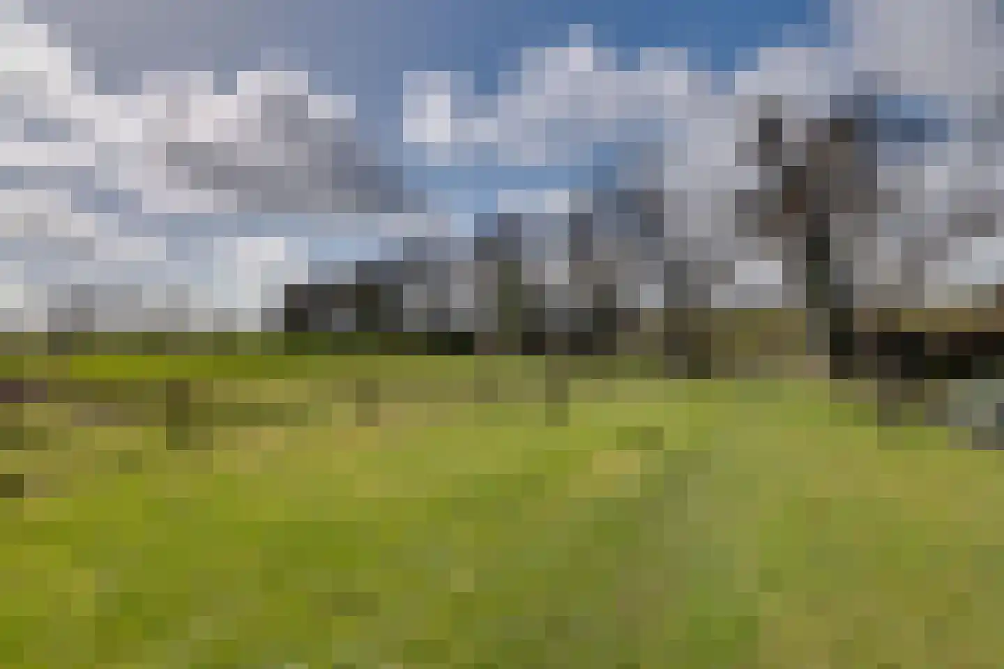 Oude Postweg 3 Spier thumbnail 44