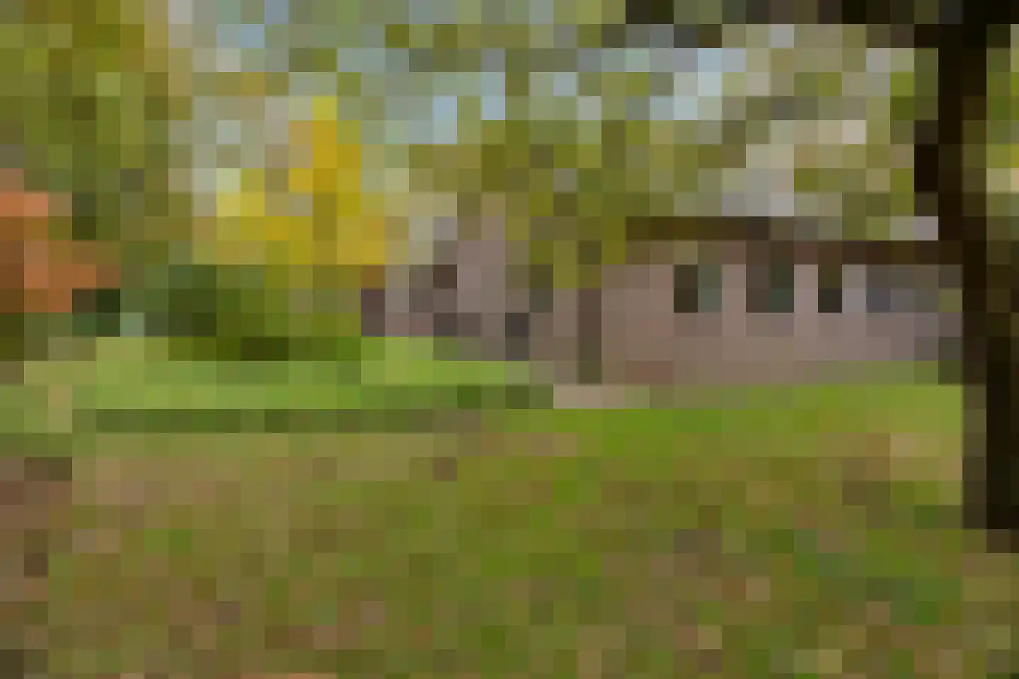 Oude Postweg 31 Ambt Delden thumbnail 16