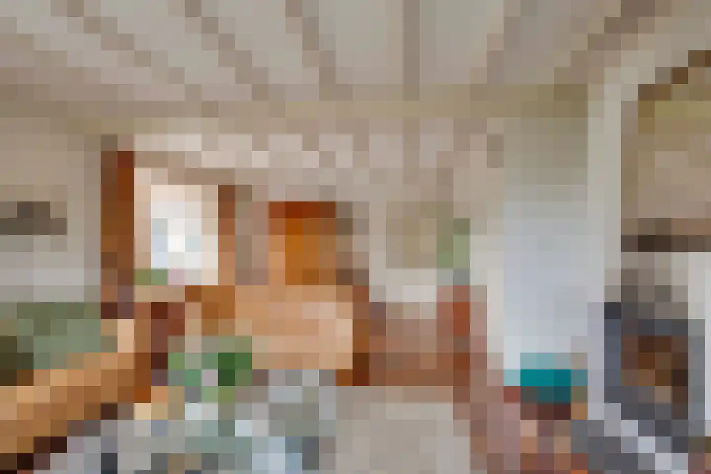 Oude Postweg 31 Ambt Delden thumbnail 33