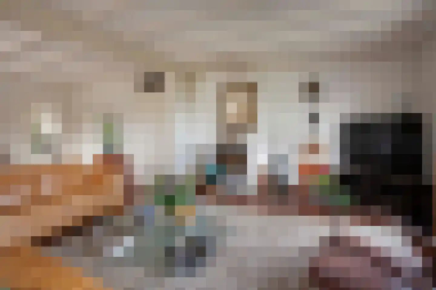 Oude Postweg 31 Ambt Delden thumbnail 34