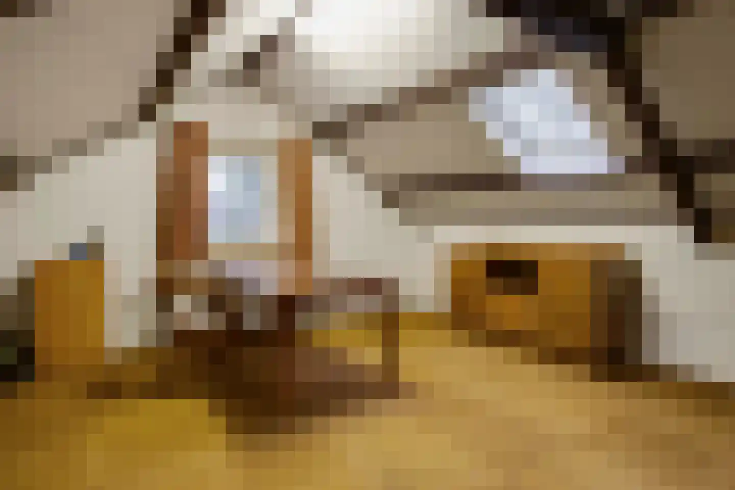 Oude Postweg 31 Ambt Delden thumbnail 46
