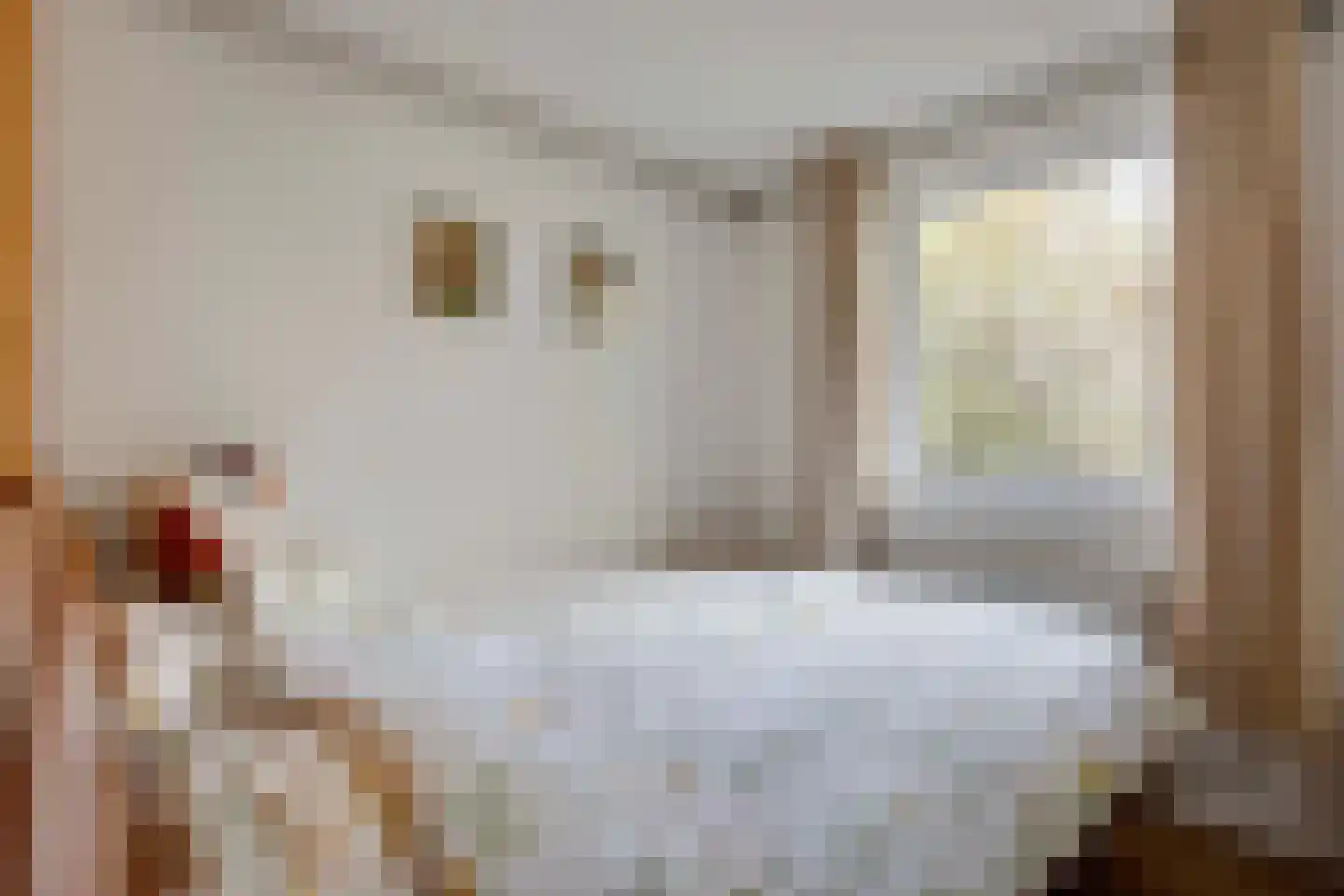 Oude Postweg 31 Ambt Delden thumbnail 54
