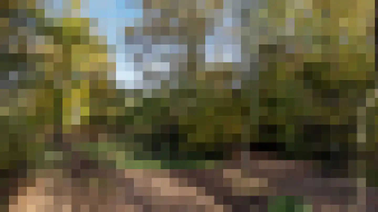 Oude Postweg 31 Ambt Delden thumbnail 58