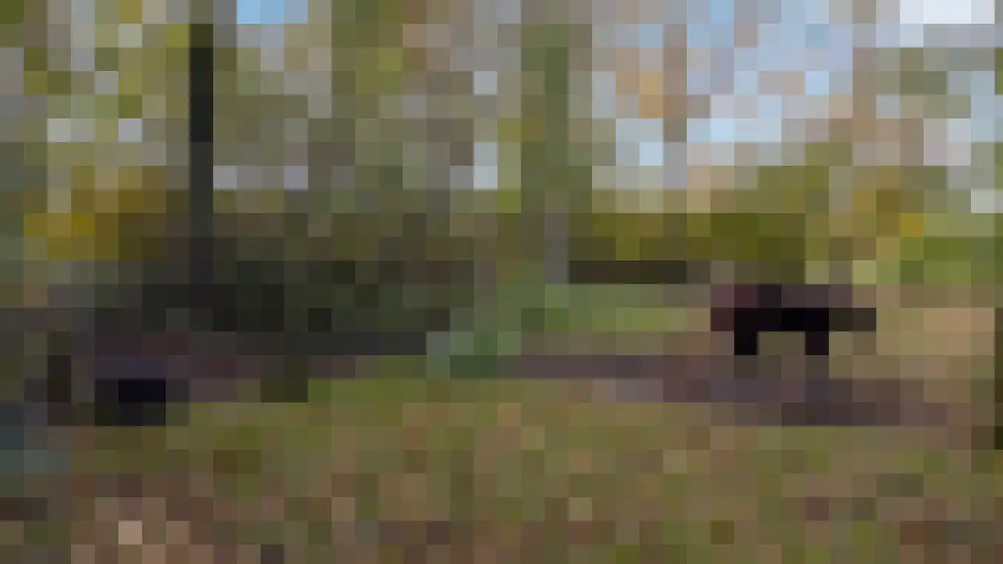 Oude Postweg 31 Ambt Delden thumbnail 62