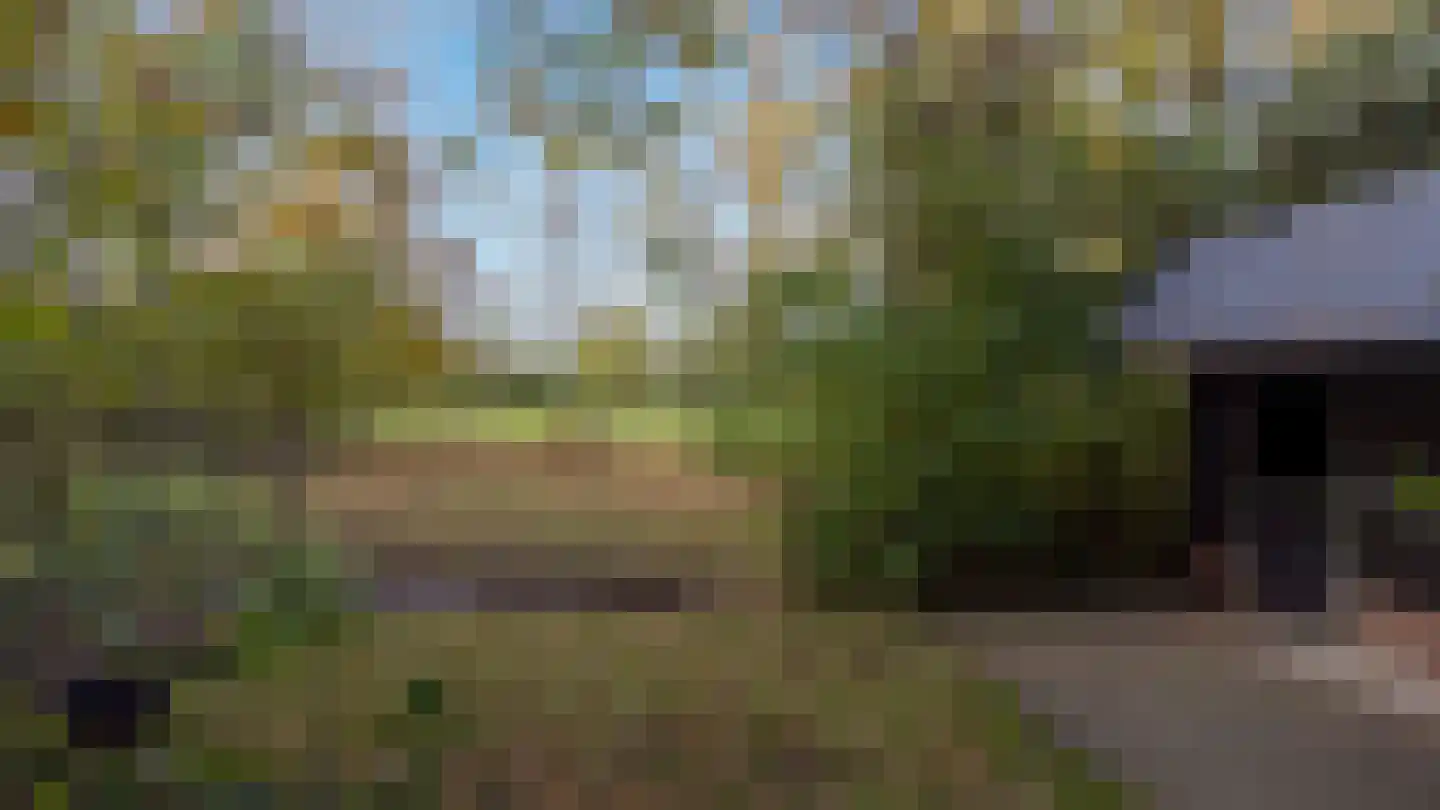Oude Postweg 31 Ambt Delden thumbnail 63