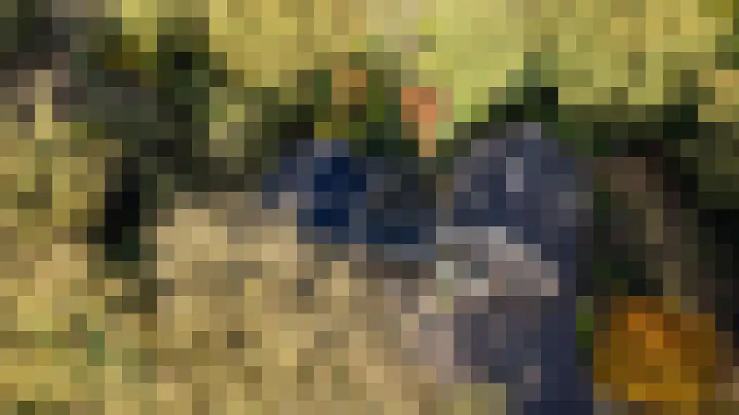 Oude Postweg 31 Ambt Delden thumbnail 64
