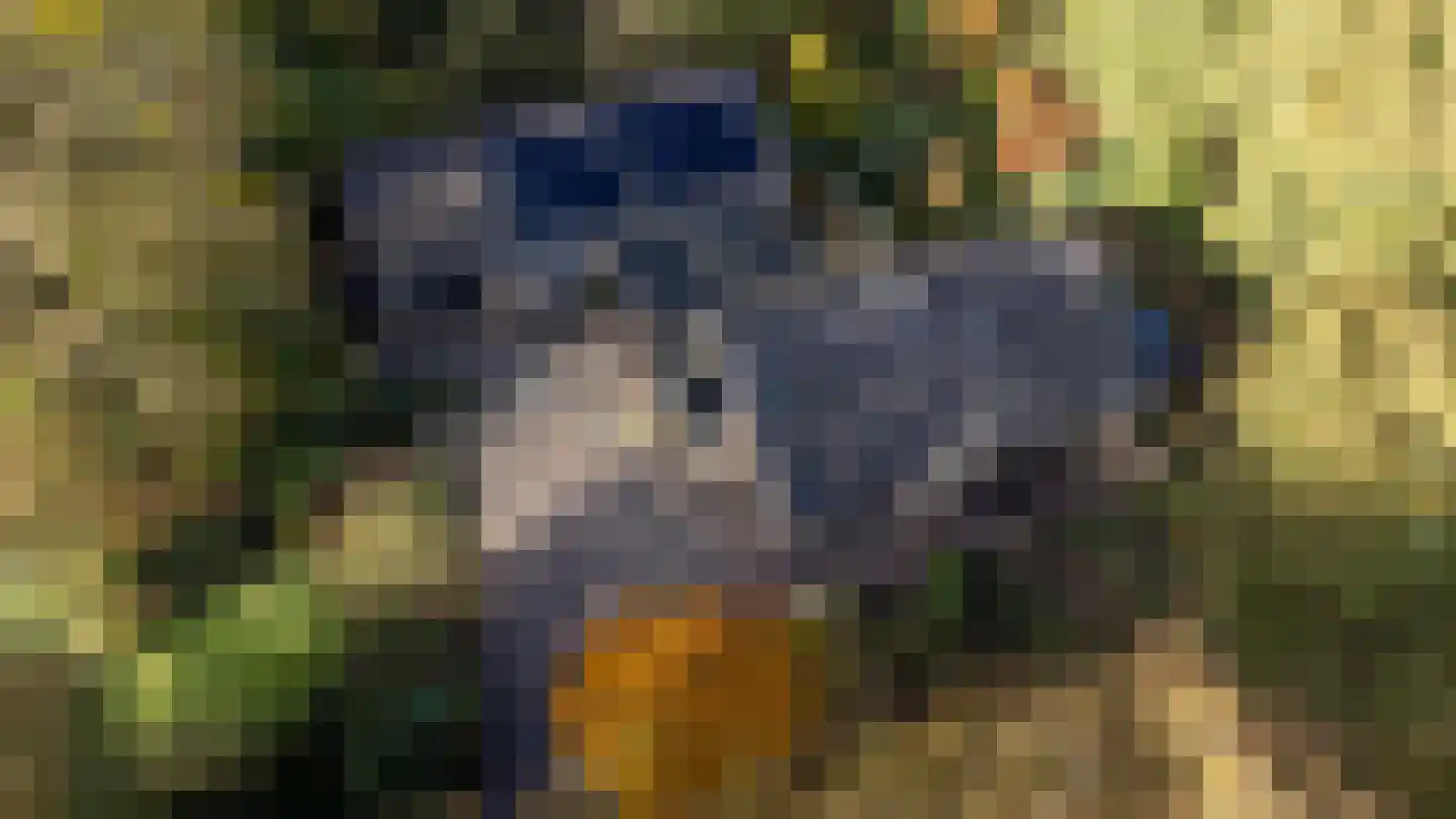 Oude Postweg 31 Ambt Delden thumbnail 66