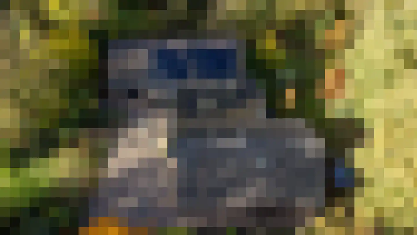 Oude Postweg 31 Ambt Delden thumbnail 7