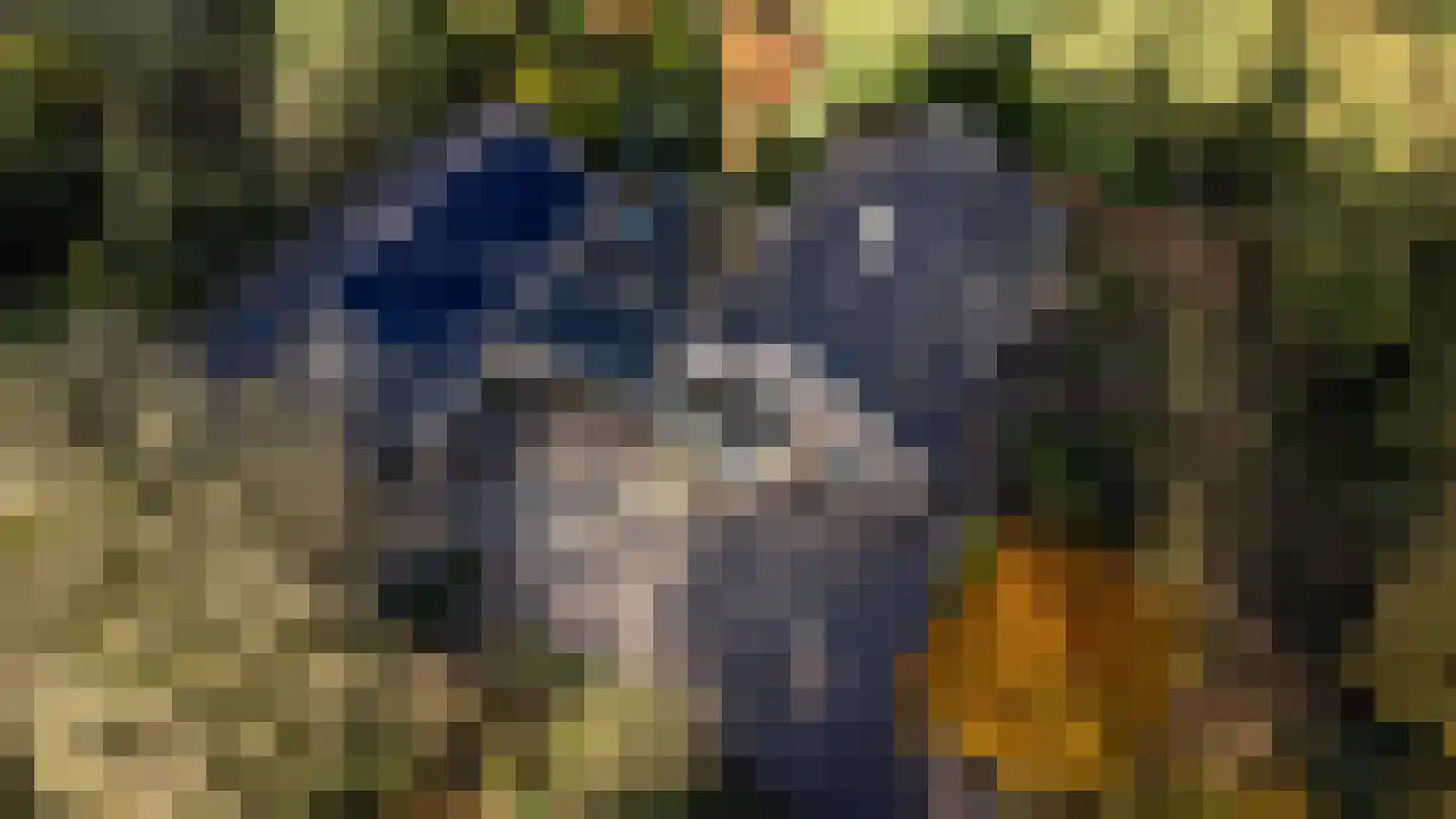 Oude Postweg 31 Ambt Delden thumbnail 8