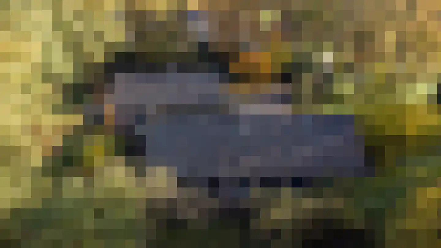 Oude Postweg 31 Ambt Delden thumbnail 9