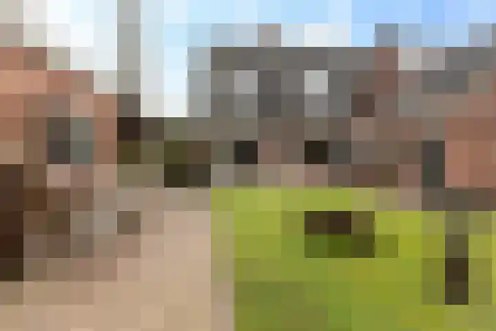 Oude Postweg 34 Austerlitz thumbnail 29