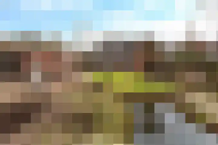Oude Postweg 34 Austerlitz thumbnail 33