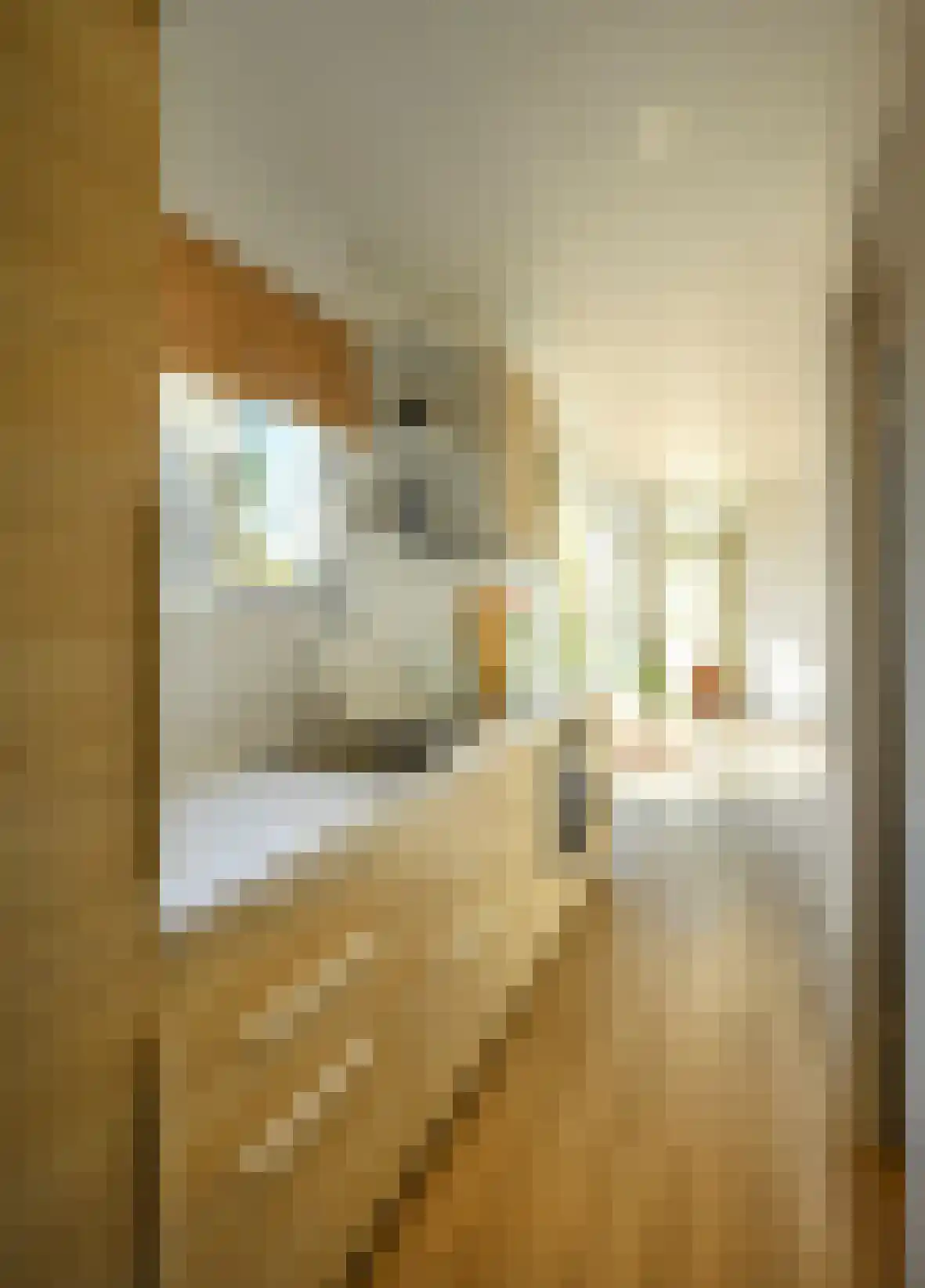Oude Prinsenweg 1 Putten thumbnail 4