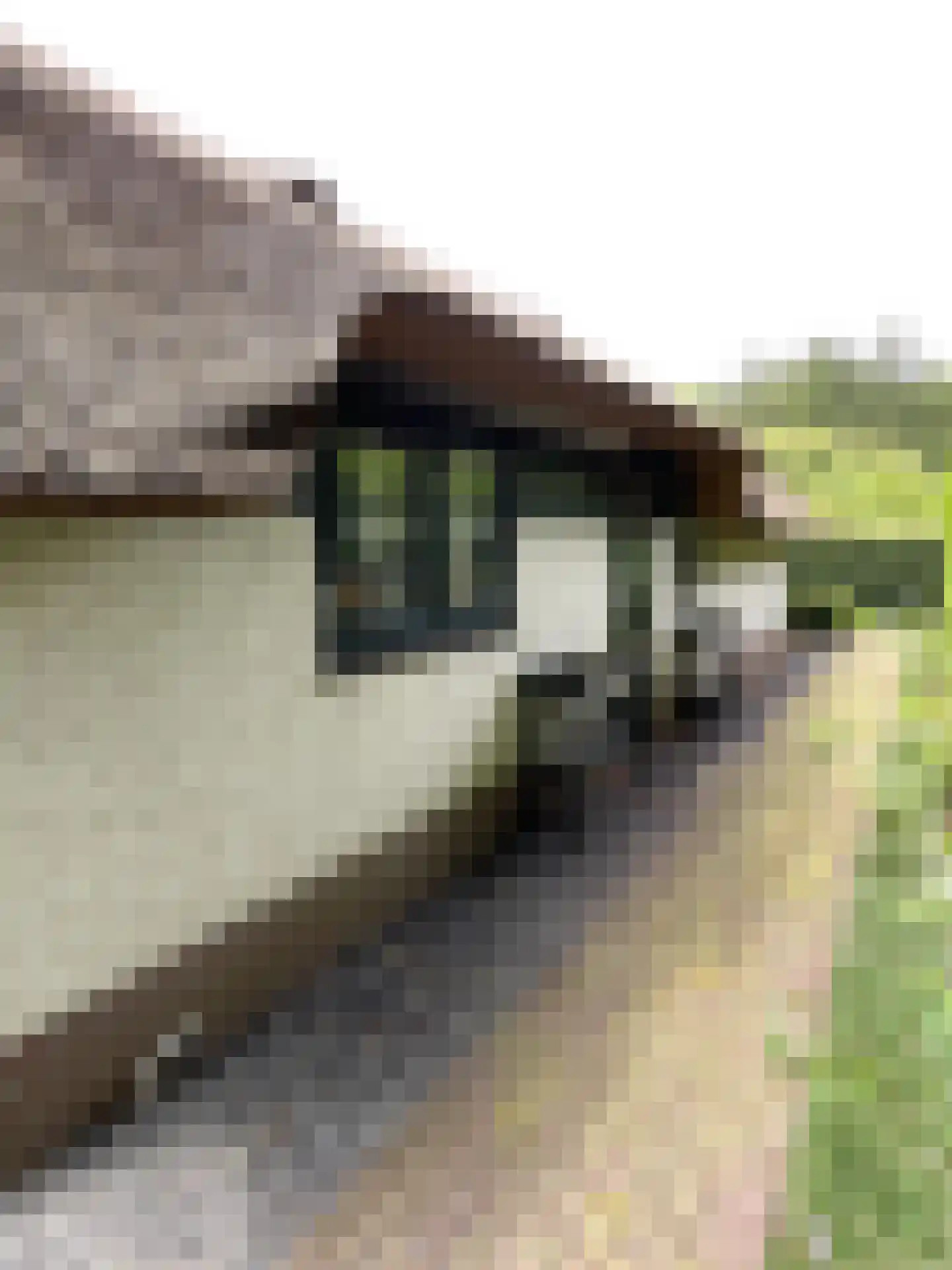 Oude Prinsenweg 16 16 Putten thumbnail 14