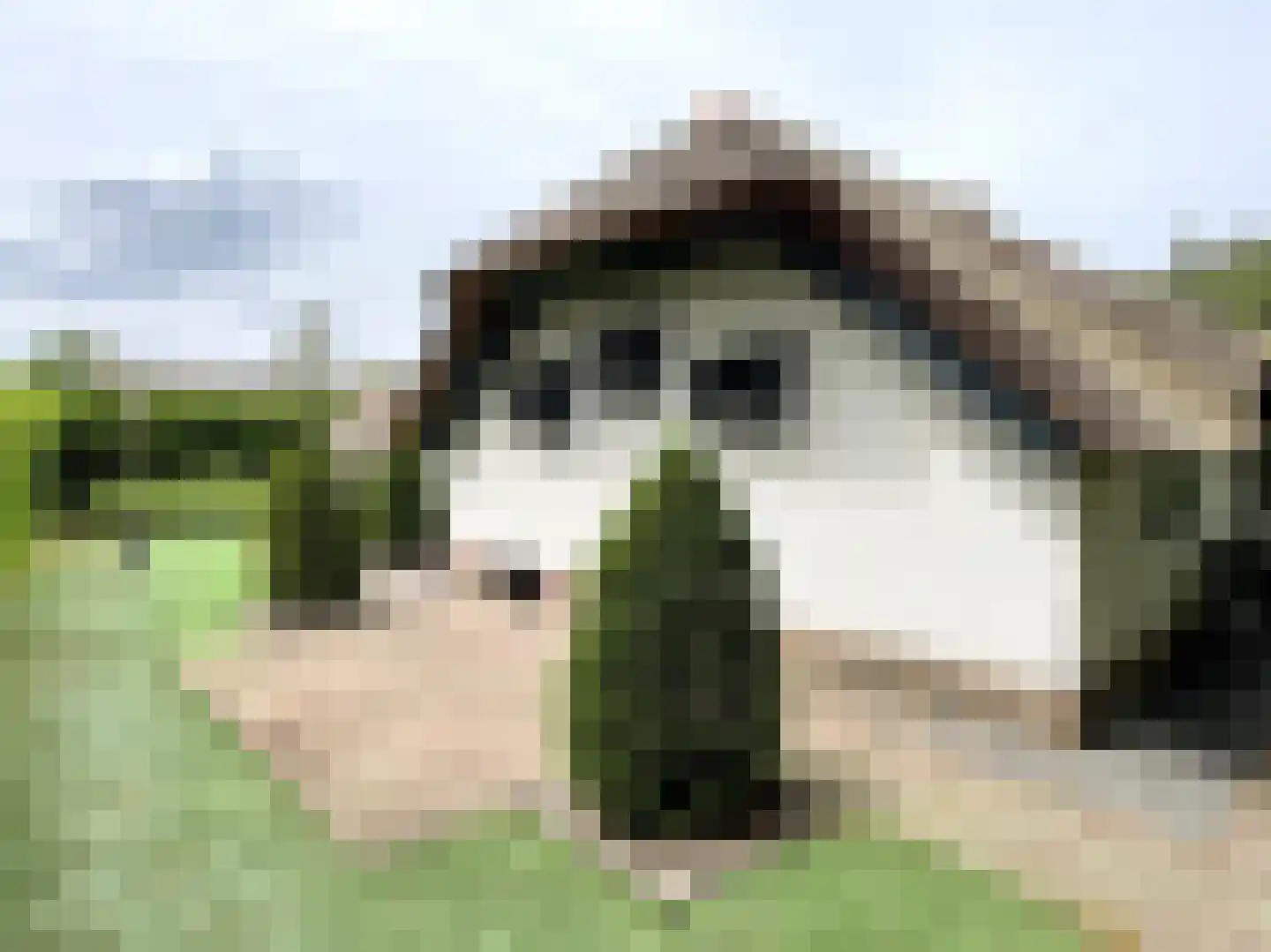 Oude Prinsenweg 16 16 Putten thumbnail 15