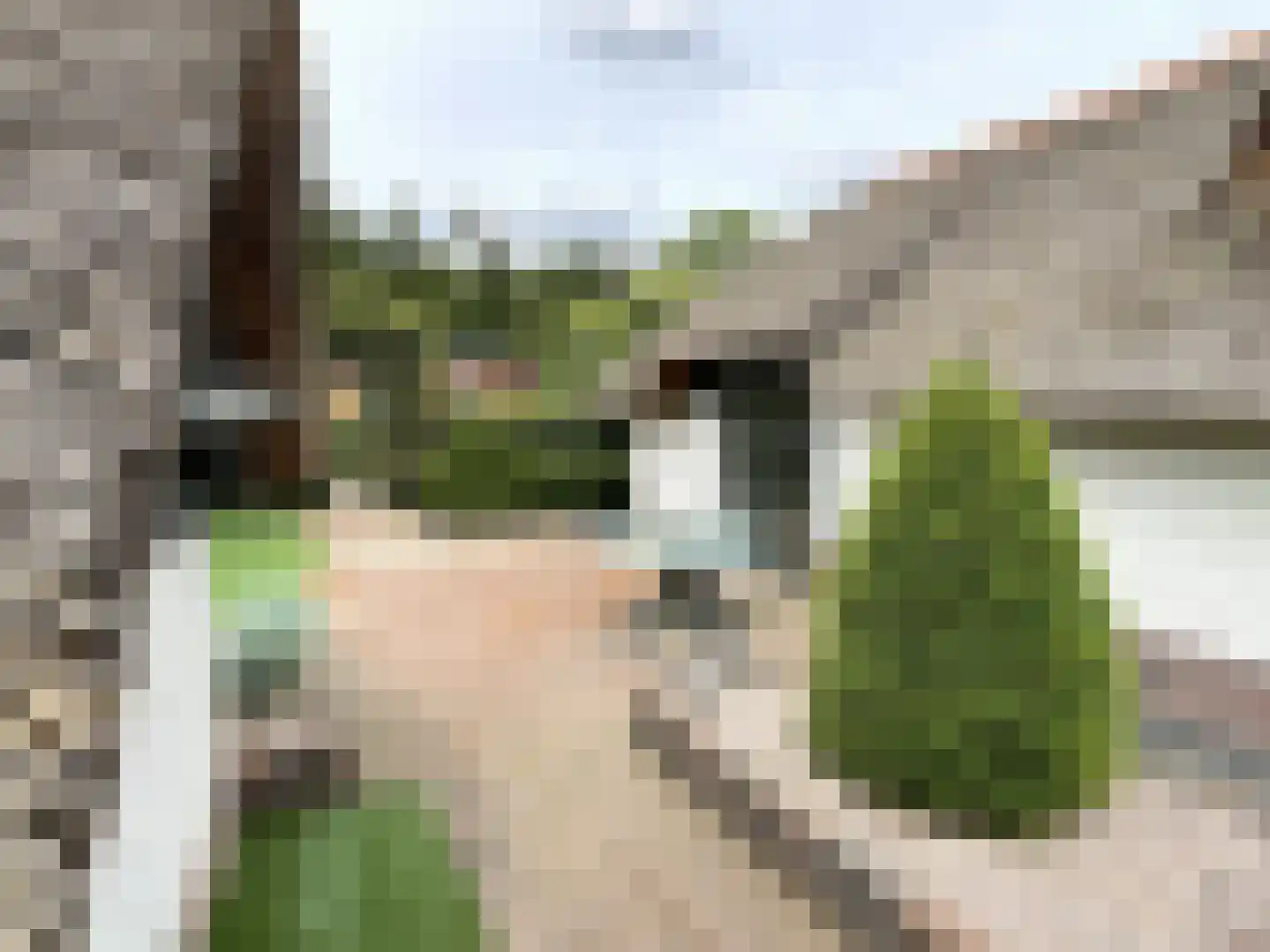Oude Prinsenweg 16 16 Putten thumbnail 18