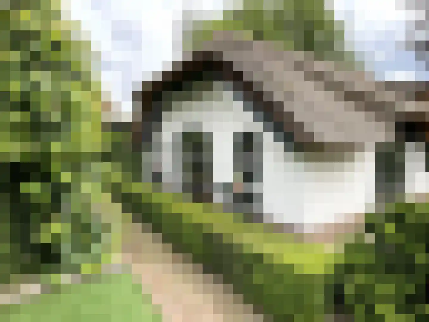 Oude Prinsenweg 16 16 Putten thumbnail 22
