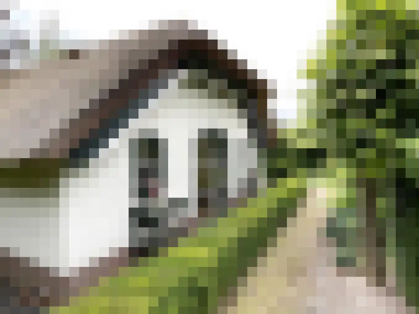 Oude Prinsenweg 16 16 Putten thumbnail 23
