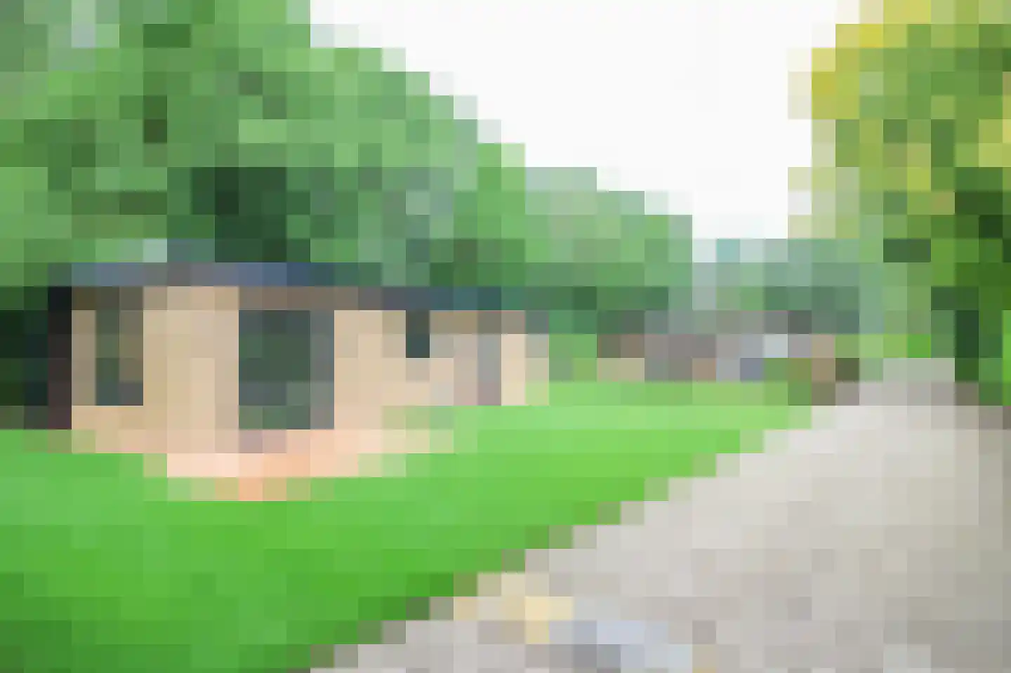 Oude Prinsenweg 16 43 Putten thumbnail 27