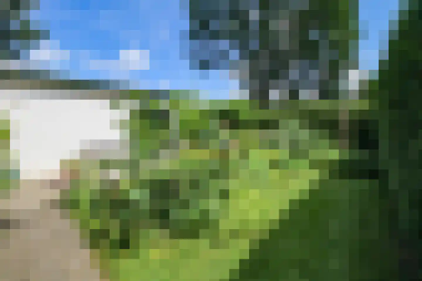Oude Prinsenweg 16 49 Putten thumbnail 30