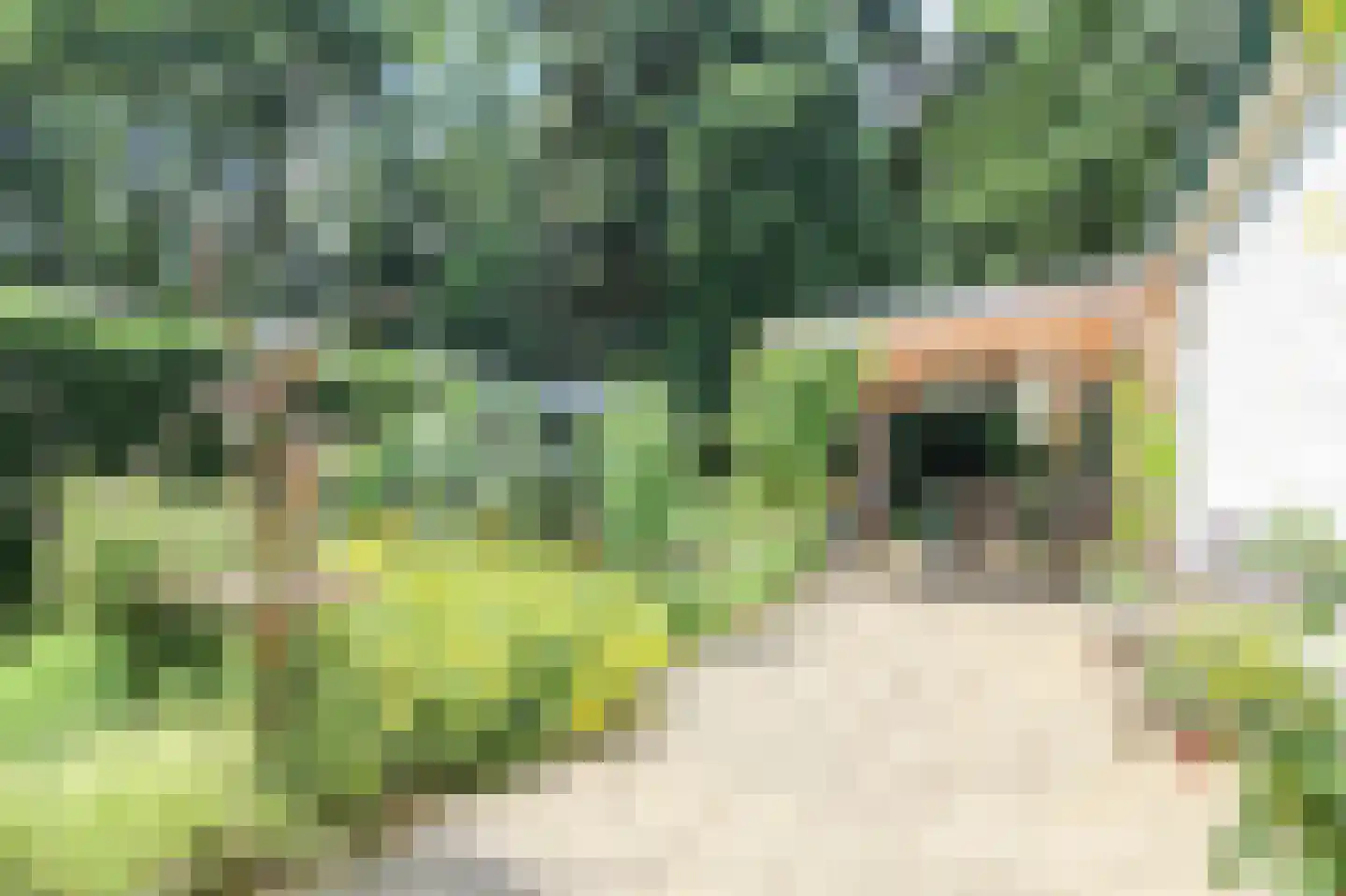 Oude Prinsenweg 16 49 Putten thumbnail 35