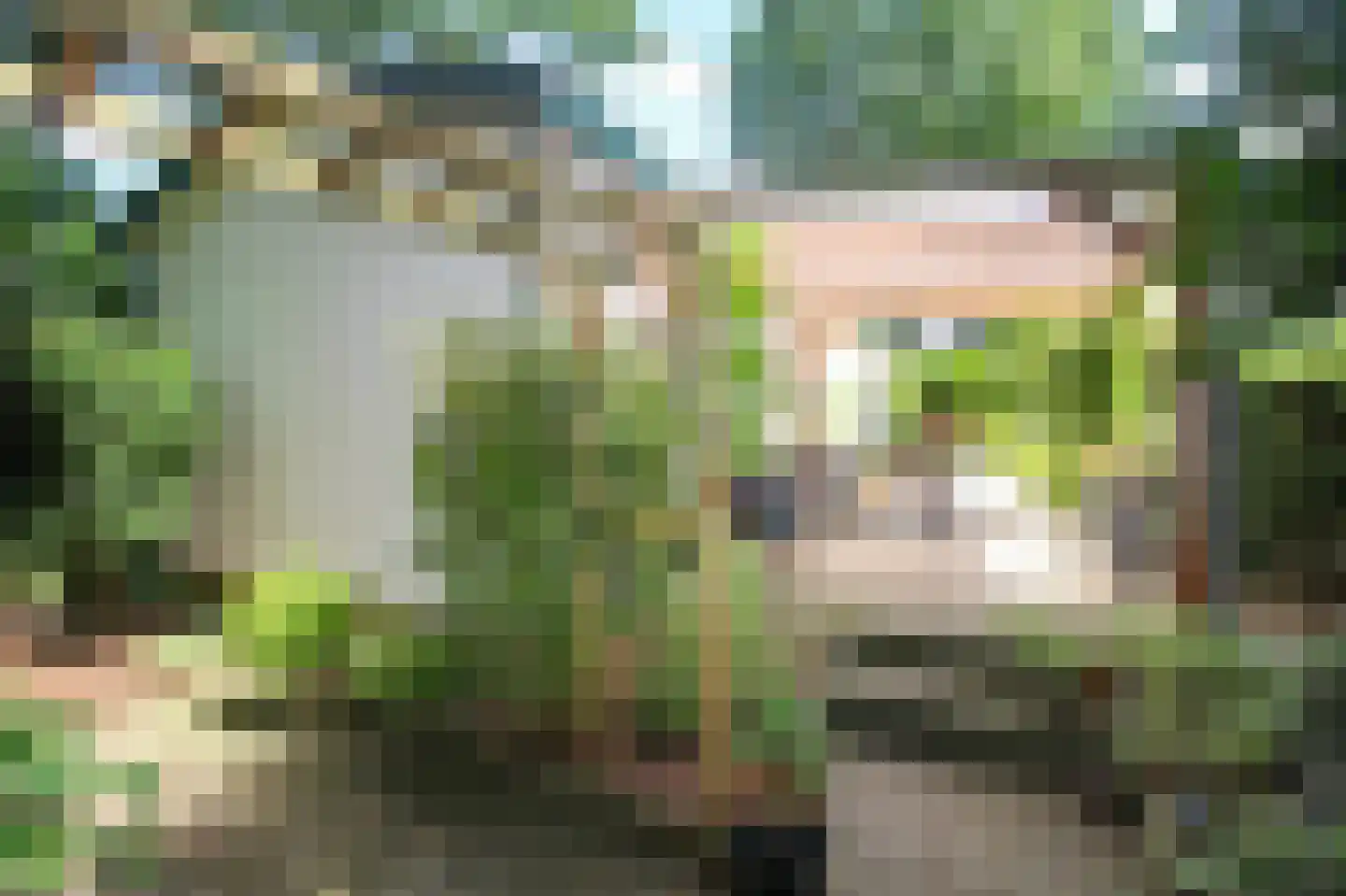 Oude Prinsenweg 16 49 Putten thumbnail 40