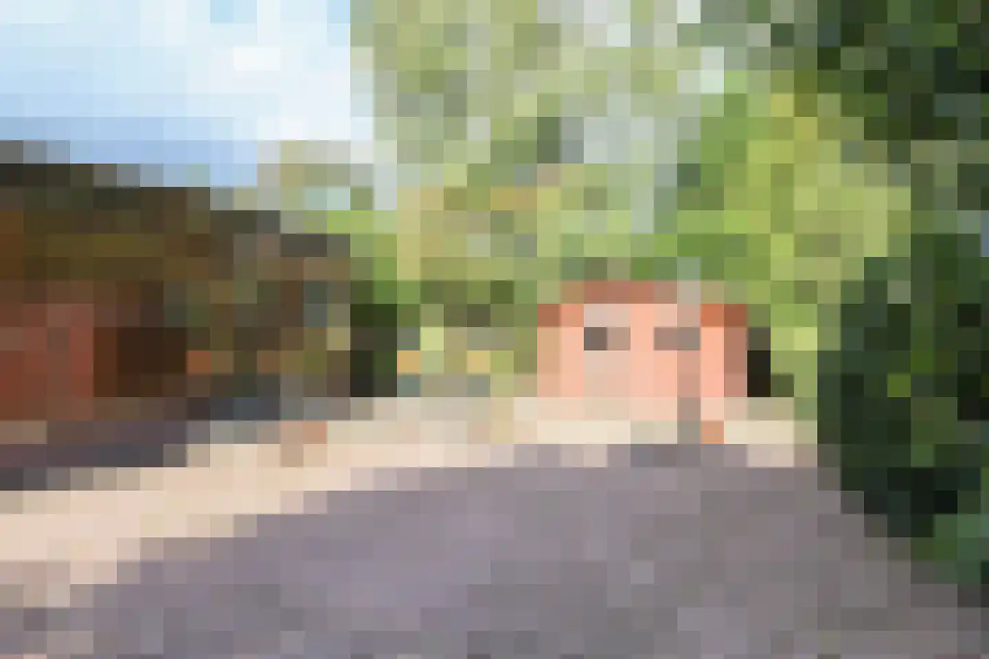 Oude Prinsenweg 16 58 Putten thumbnail 28