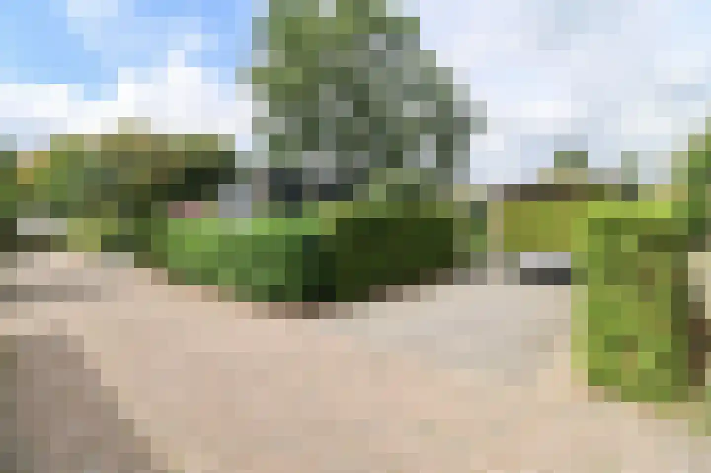 Oude Prinsenweg 16 59 Putten thumbnail 43