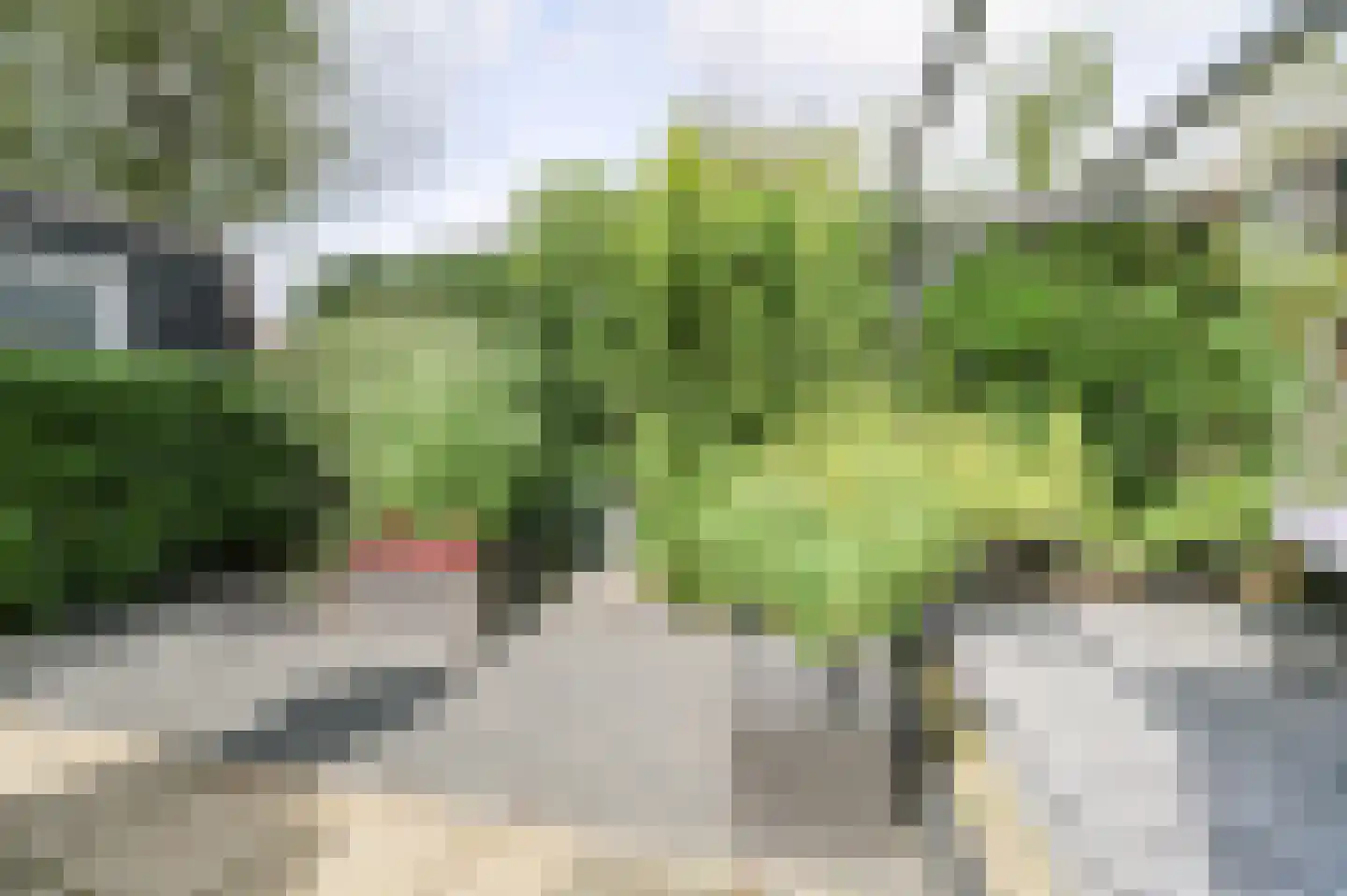 Oude Prinsenweg 16 59 Putten thumbnail 46
