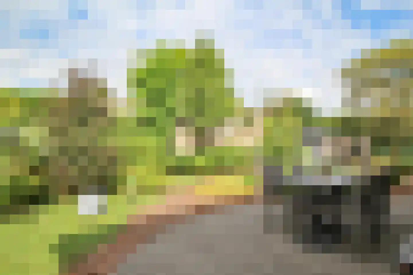 Oude Prinsenweg 16 70 Putten thumbnail 34