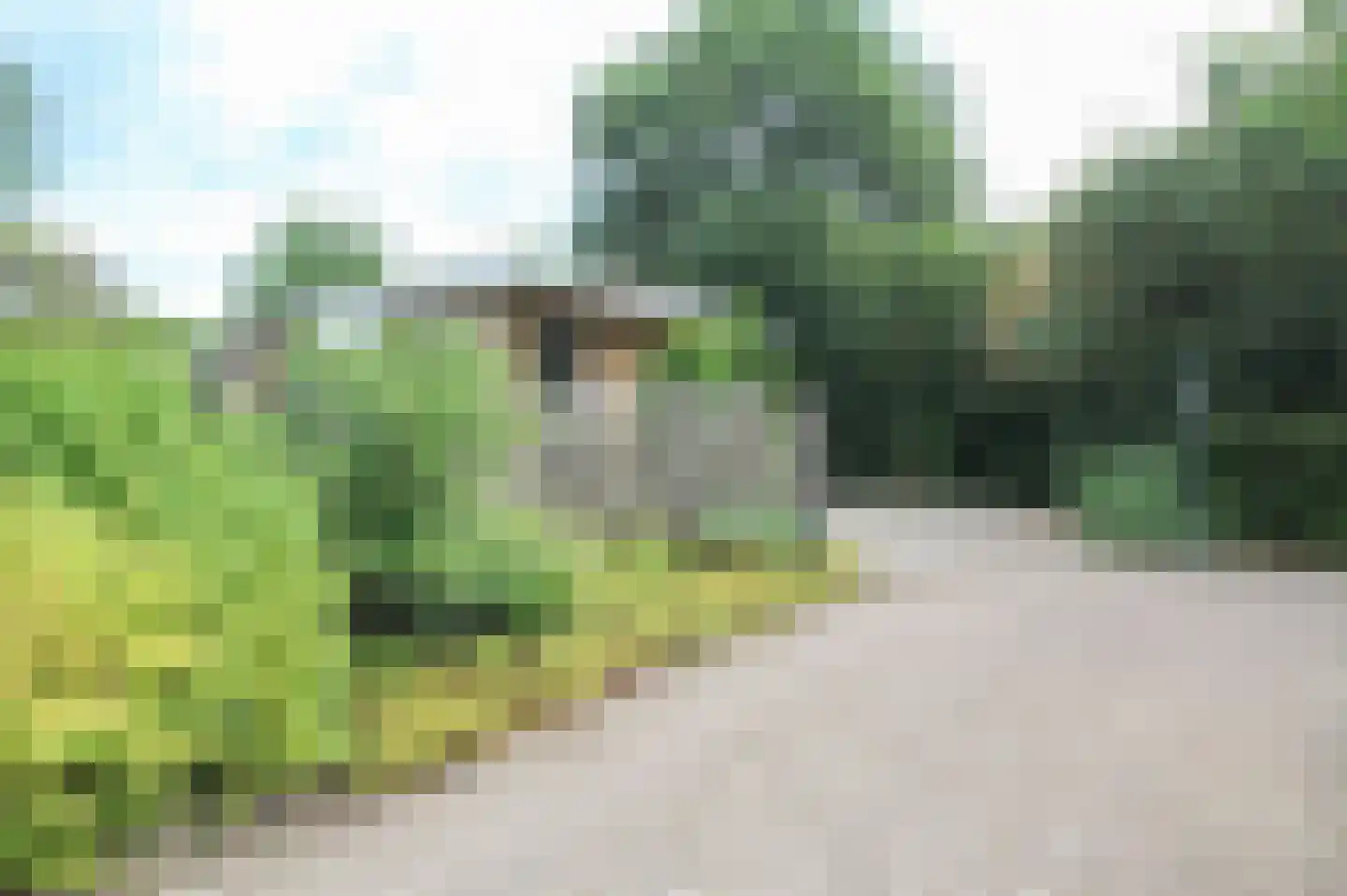 Oude Prinsenweg 16 70 Putten thumbnail 47