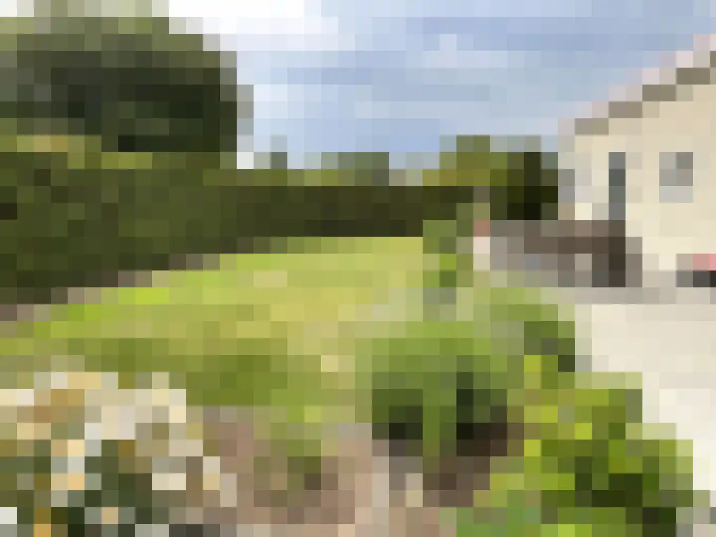 Oude Prinsenweg 16 74 Putten thumbnail 18