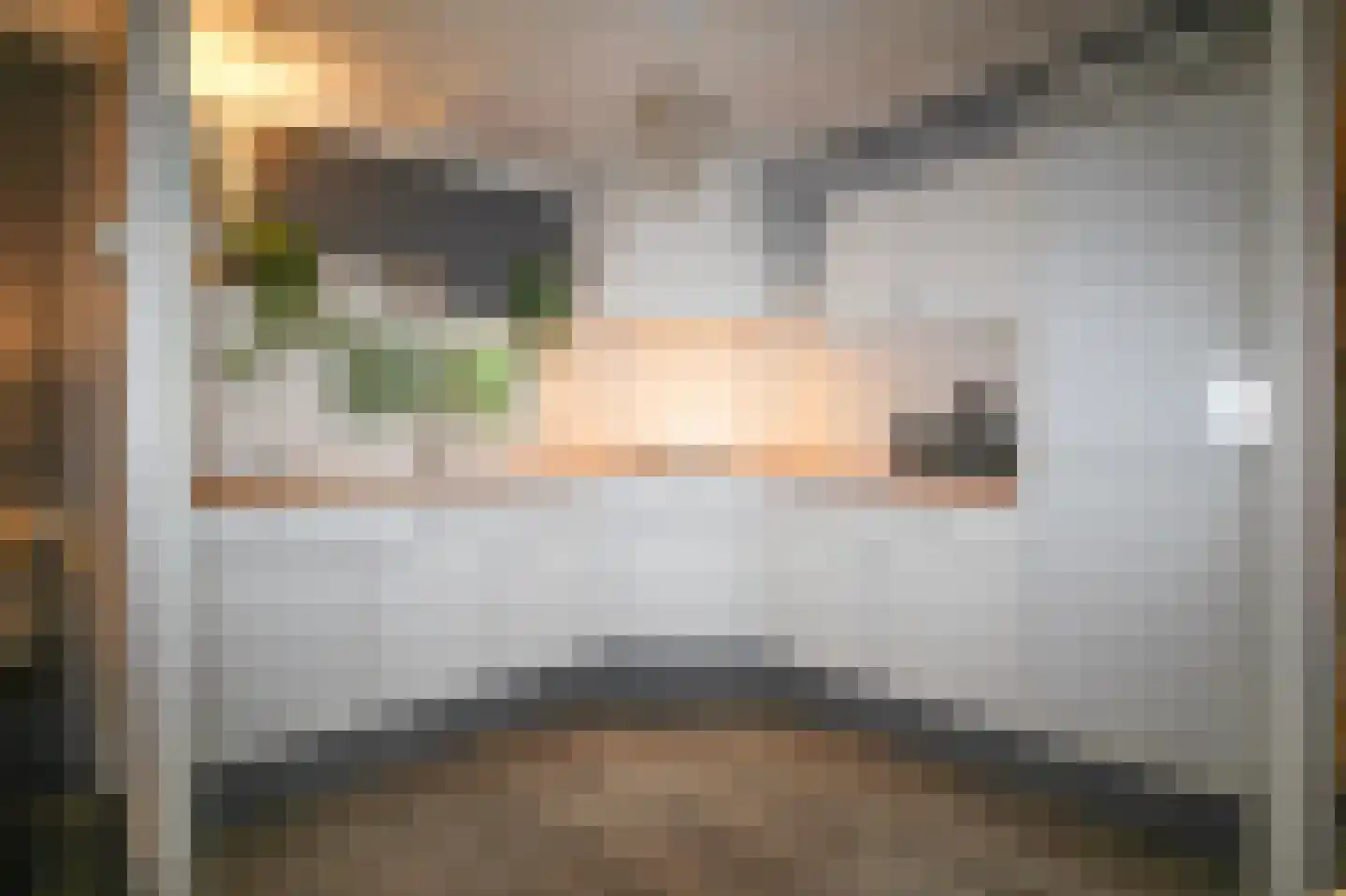 Oude Prinsenweg 16 85 Putten thumbnail 17