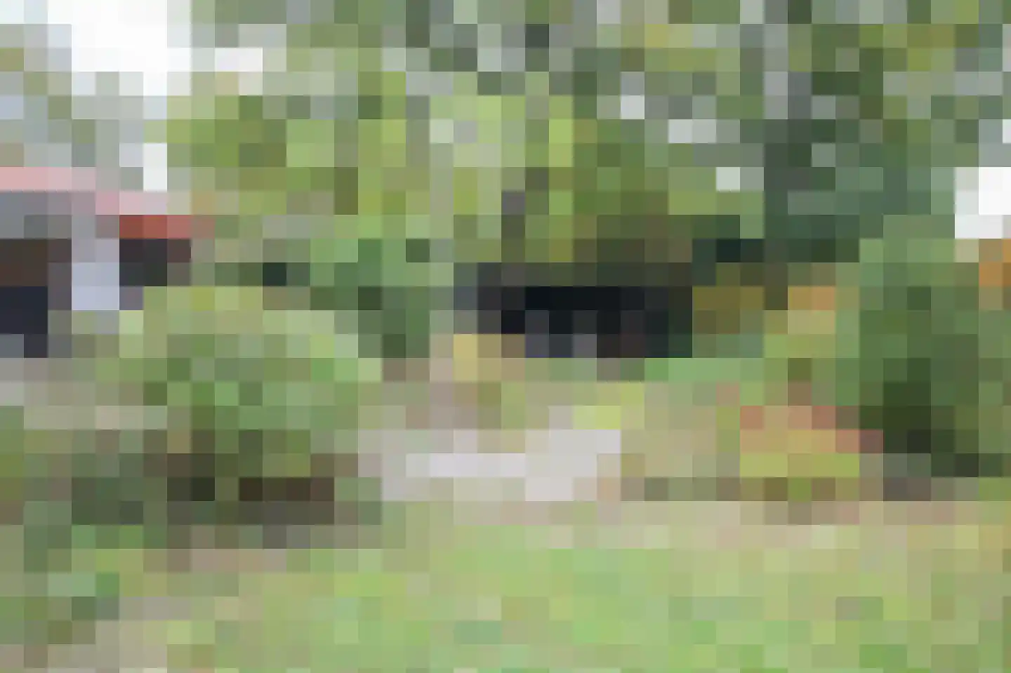 Oude Prinsenweg 16 85 Putten thumbnail 38
