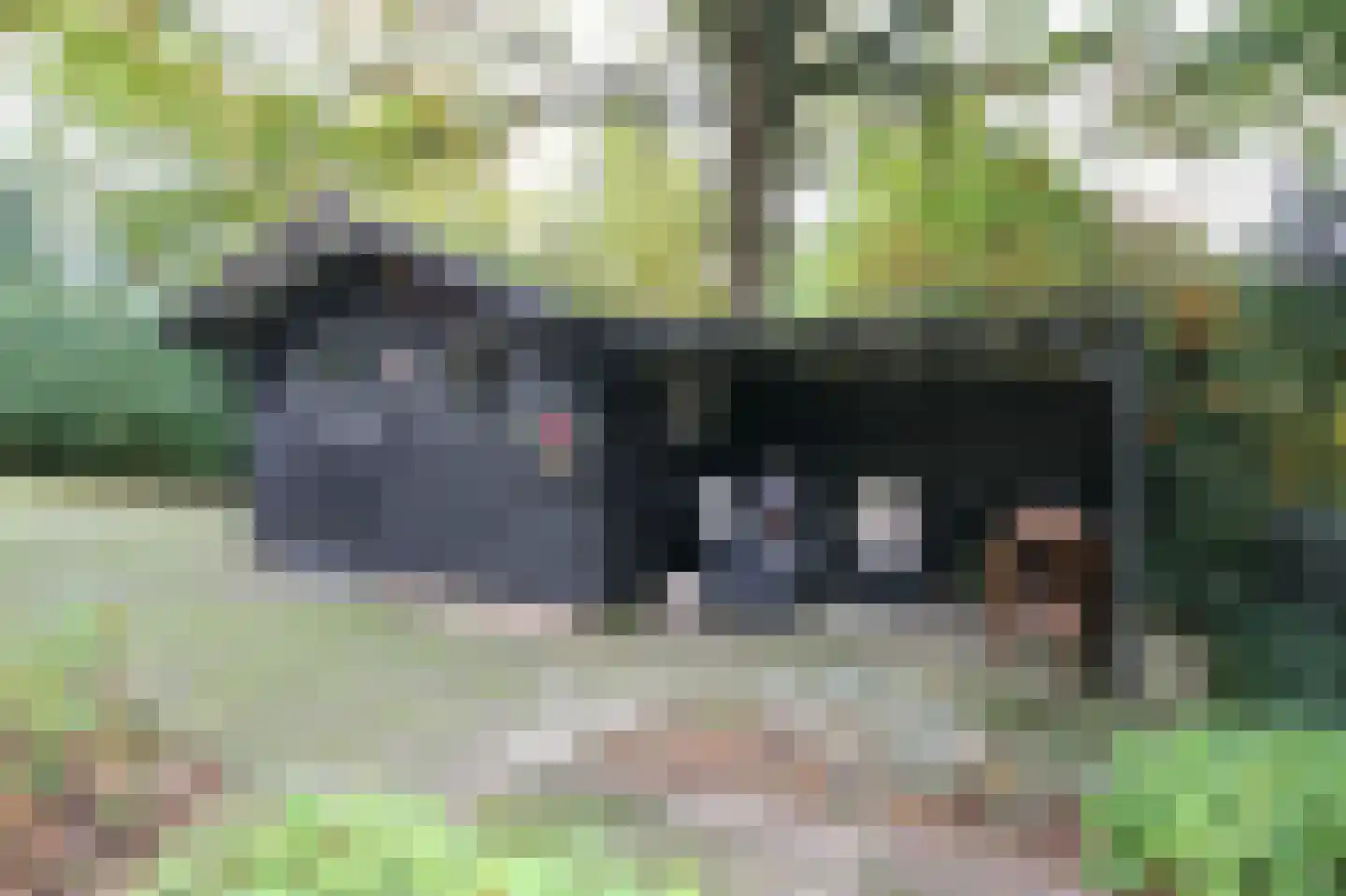 Oude Prinsenweg 16 85 Putten thumbnail 39