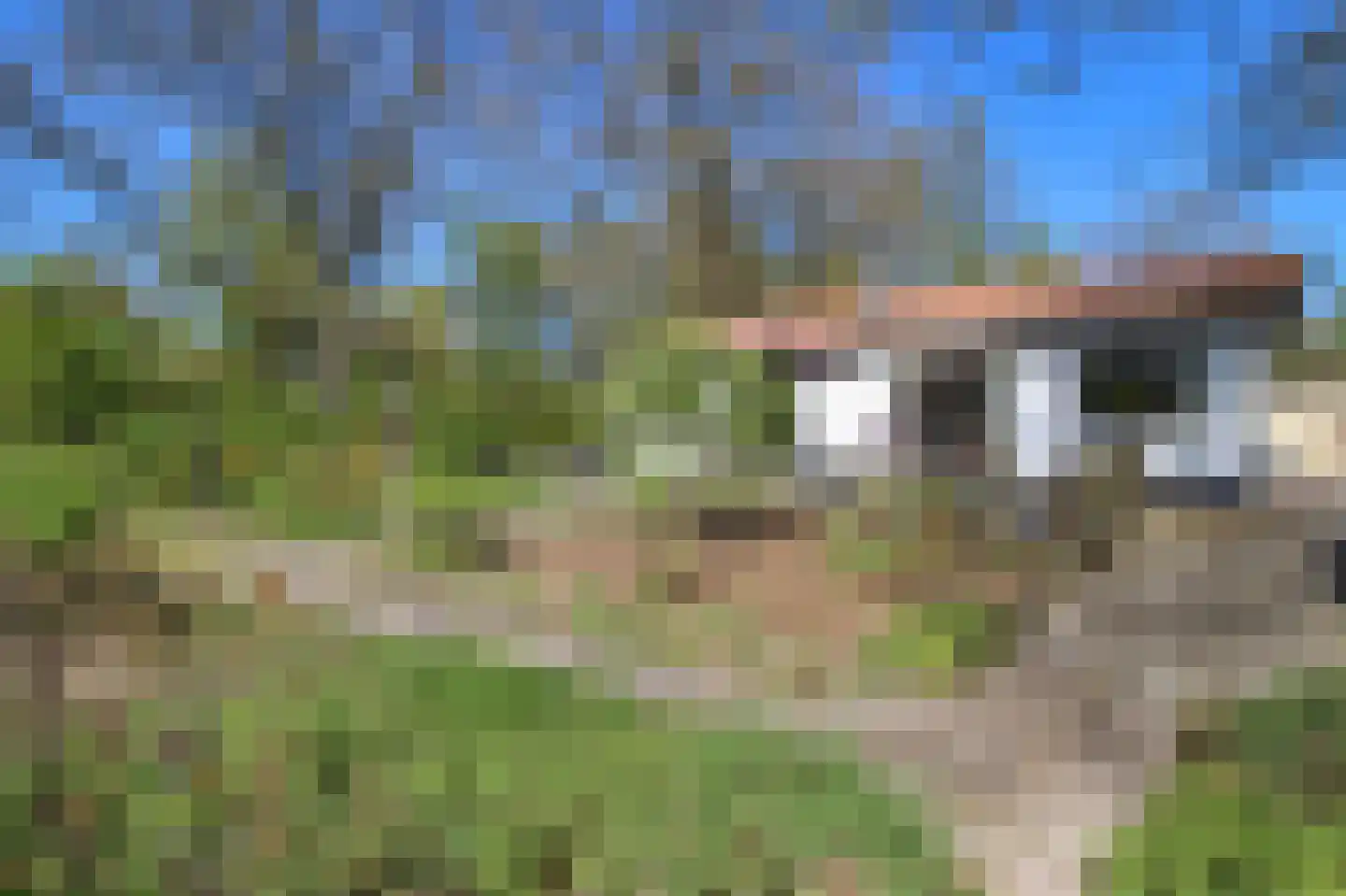 Oude Prinsenweg 16 85 Putten thumbnail 46