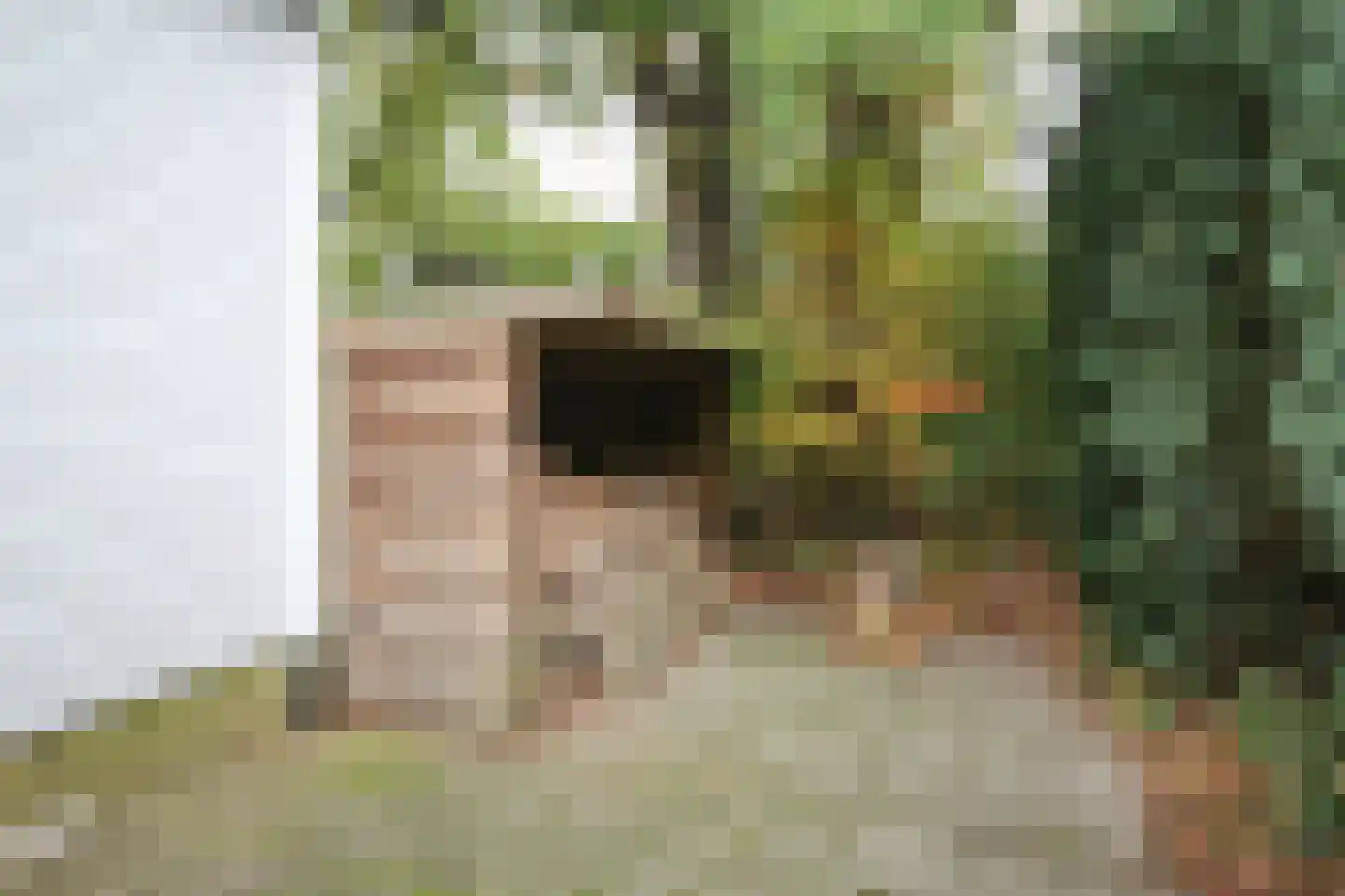 Oude Prinsenweg 16 85 Putten thumbnail 51