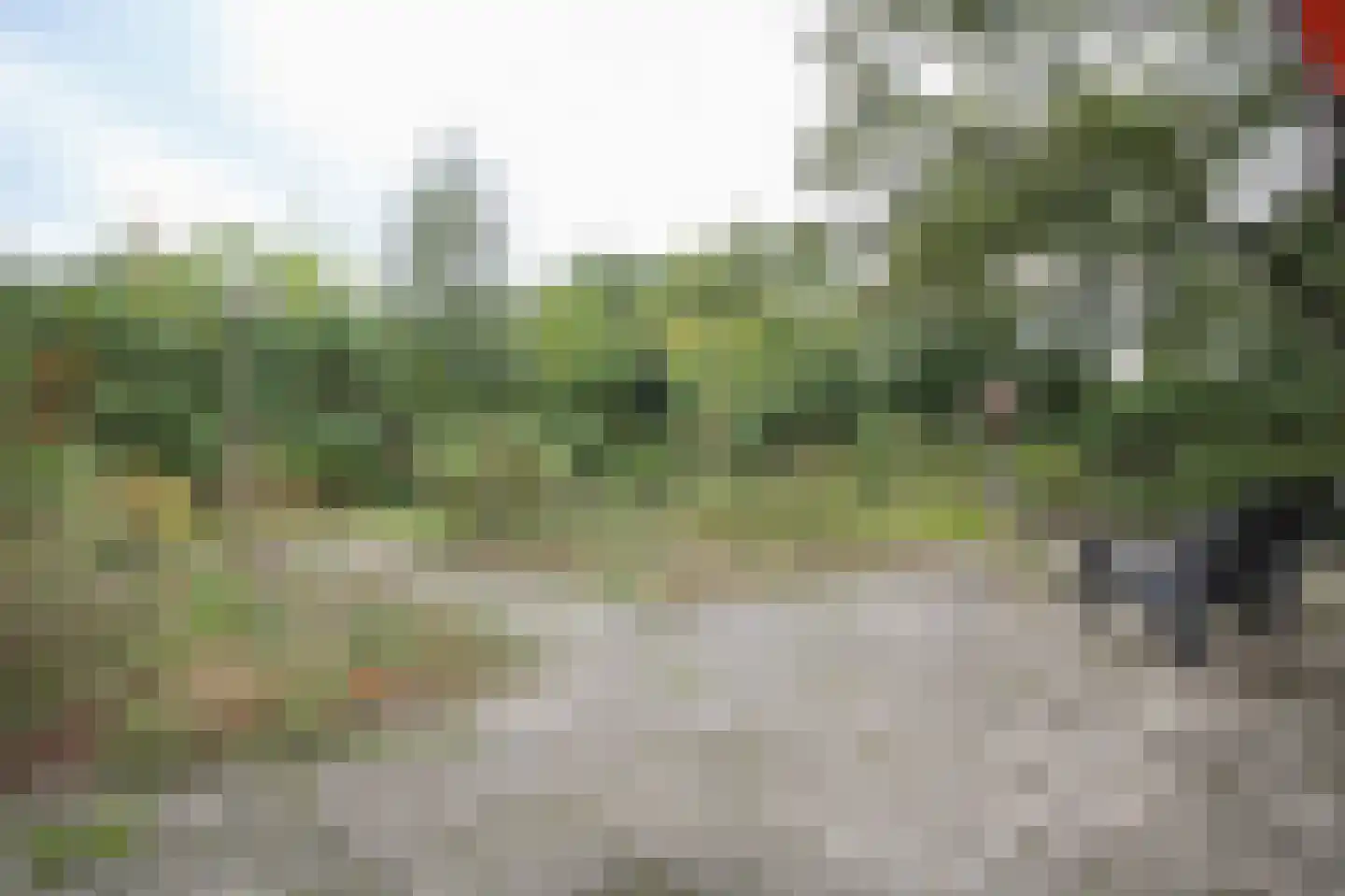 Oude Prinsenweg 16 85 Putten thumbnail 54