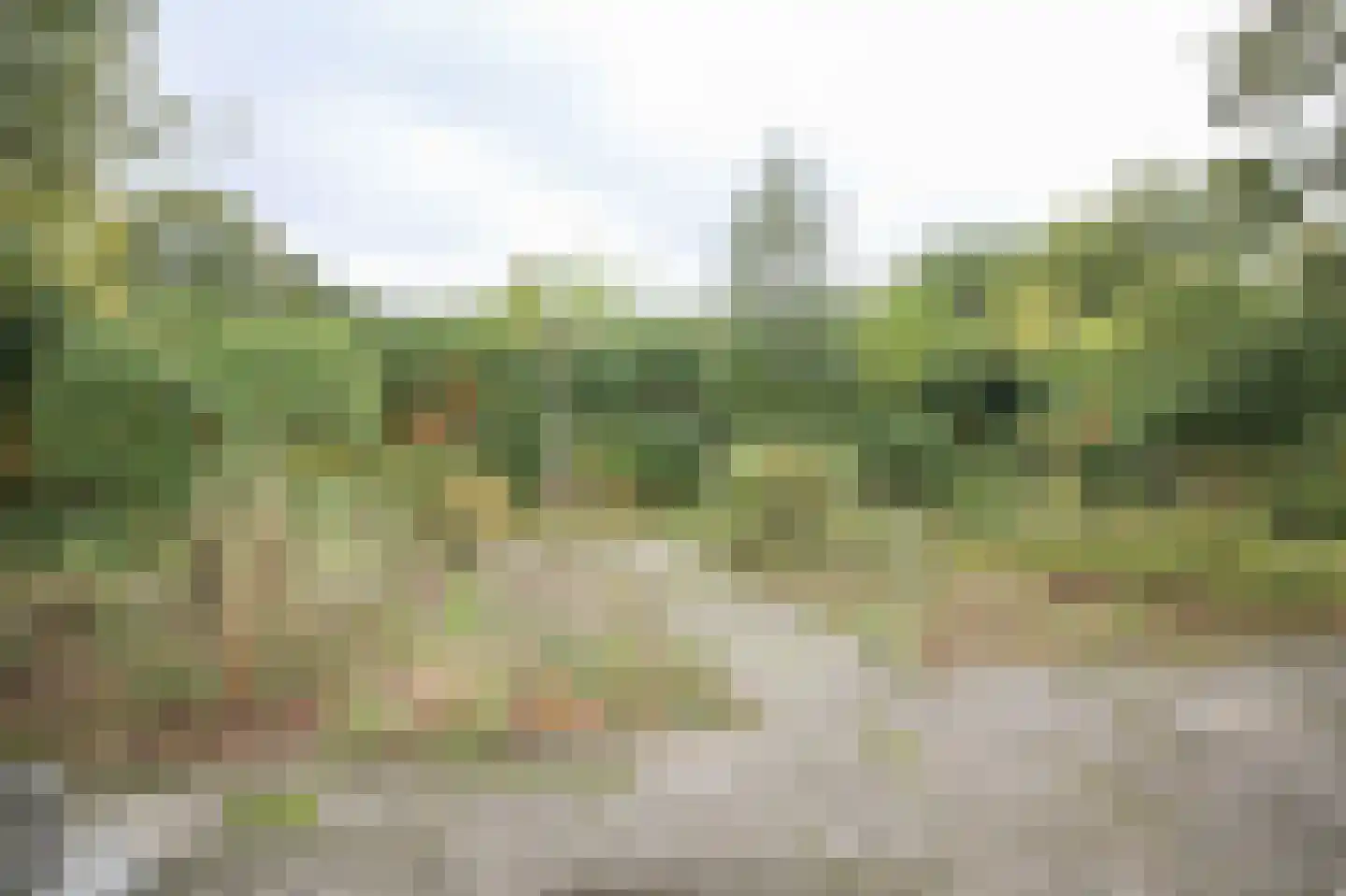 Oude Prinsenweg 16 85 Putten thumbnail 55