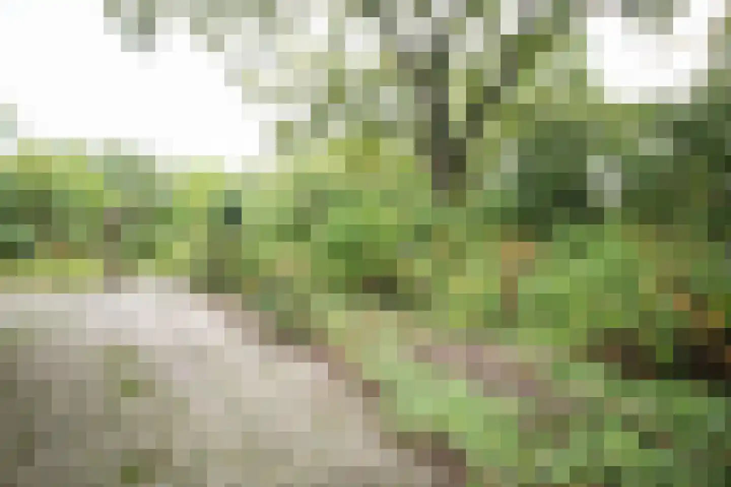 Oude Prinsenweg 16 85 Putten thumbnail 60
